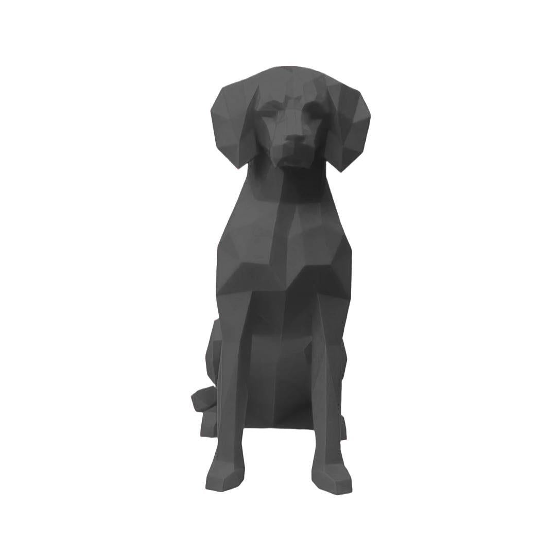 Brittany Spaniel
