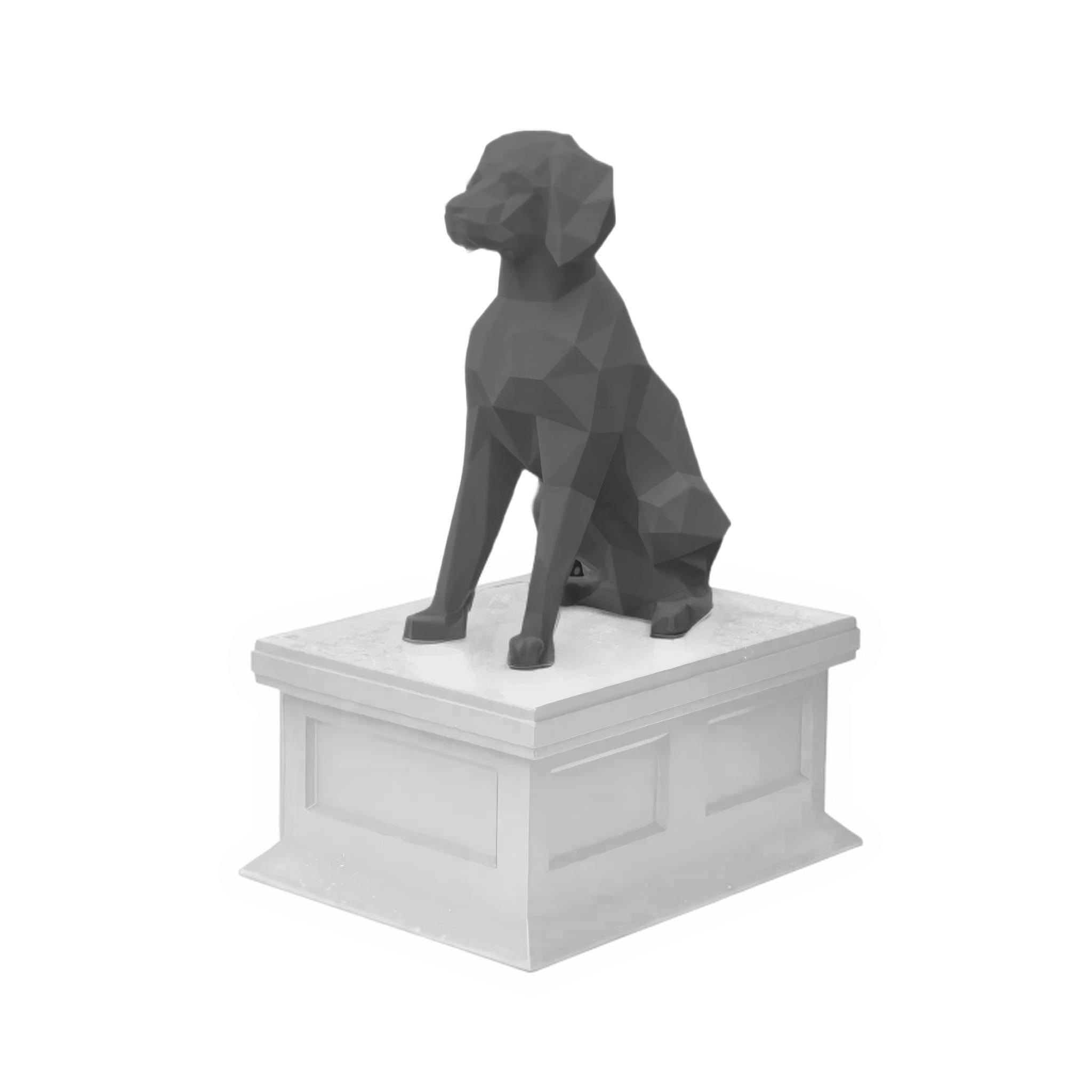 Brittany Spaniel