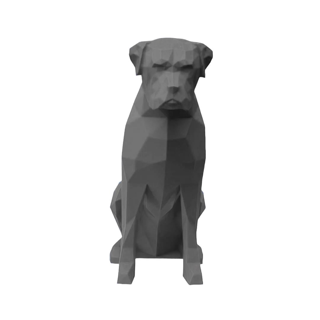 Boxer