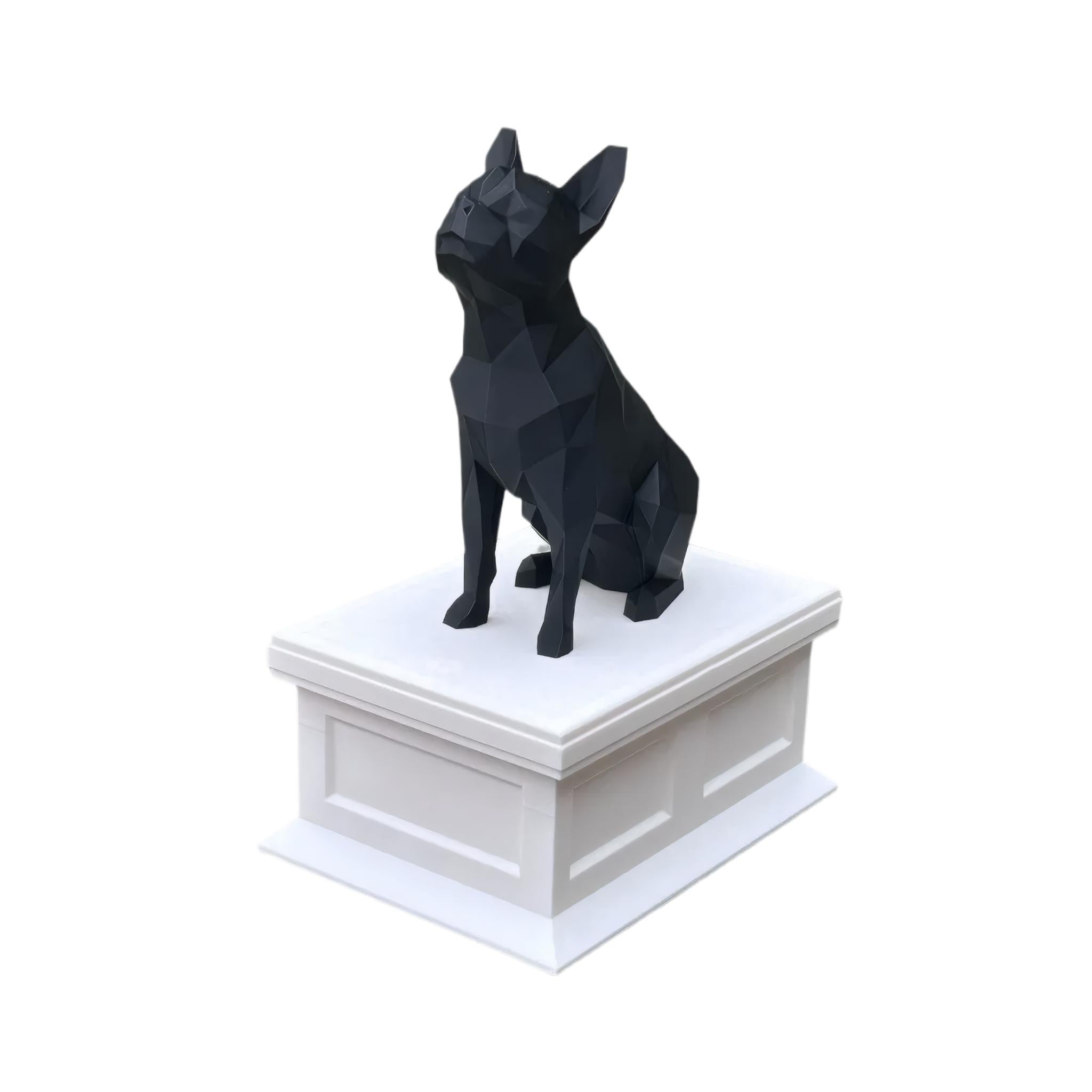 Boston Terrier