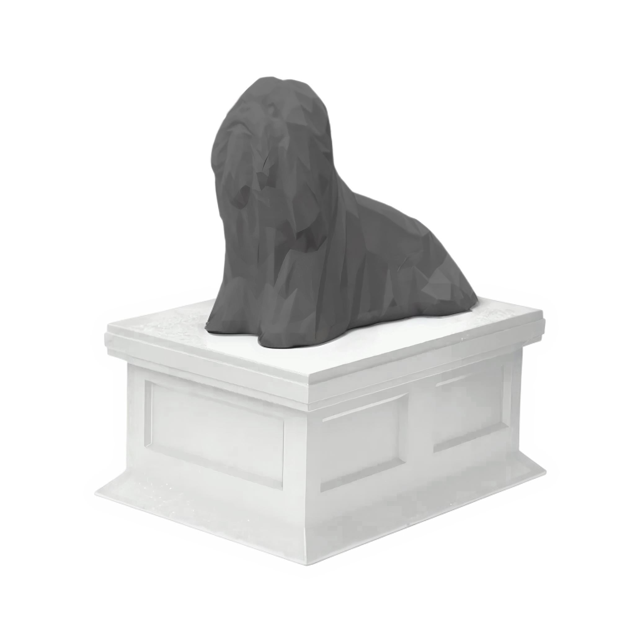 Lhasa Apso
