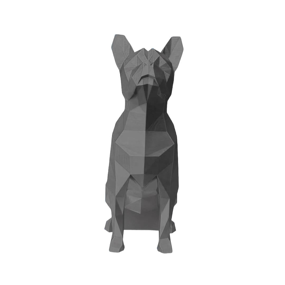 Boston Terrier