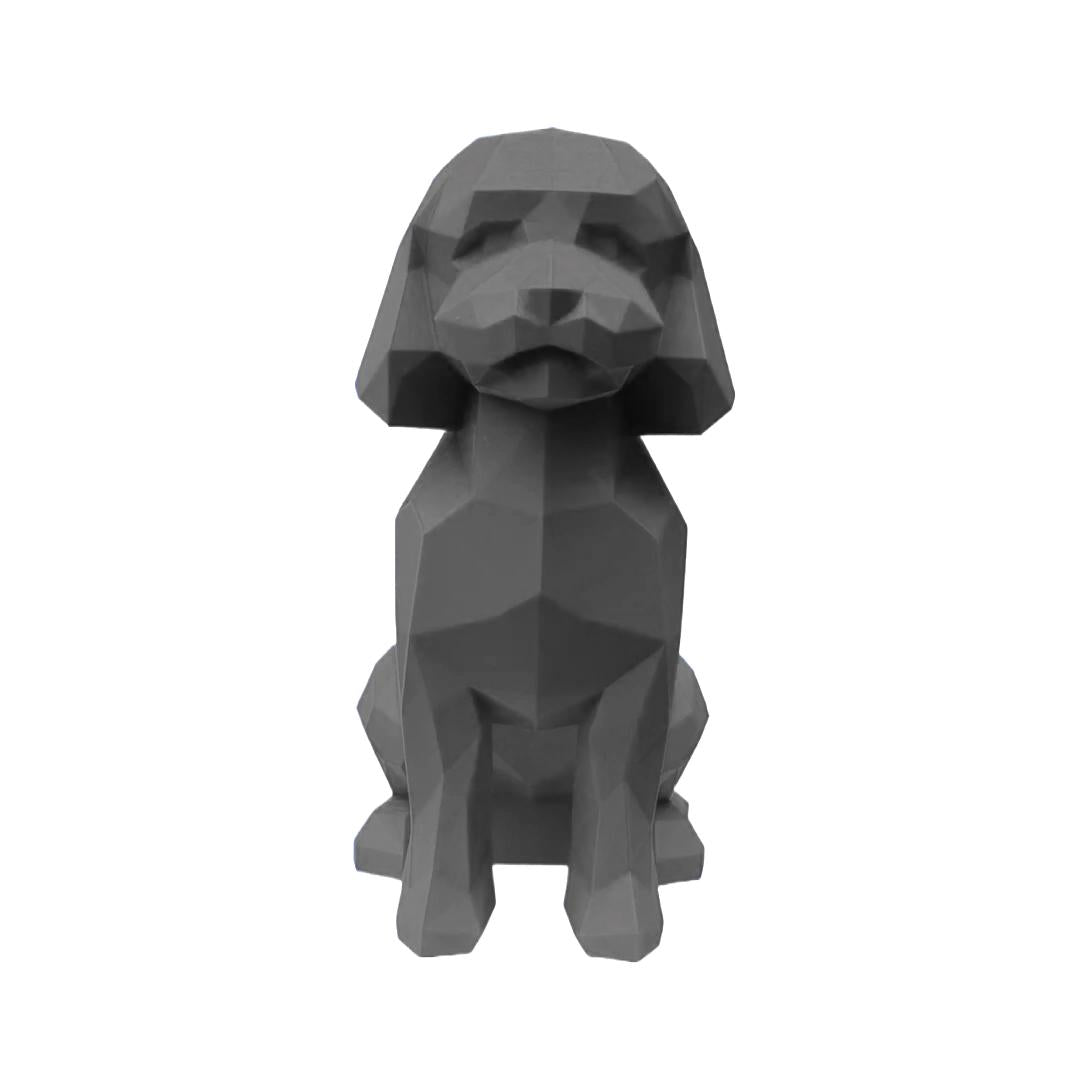 Mini-Golden Doodle