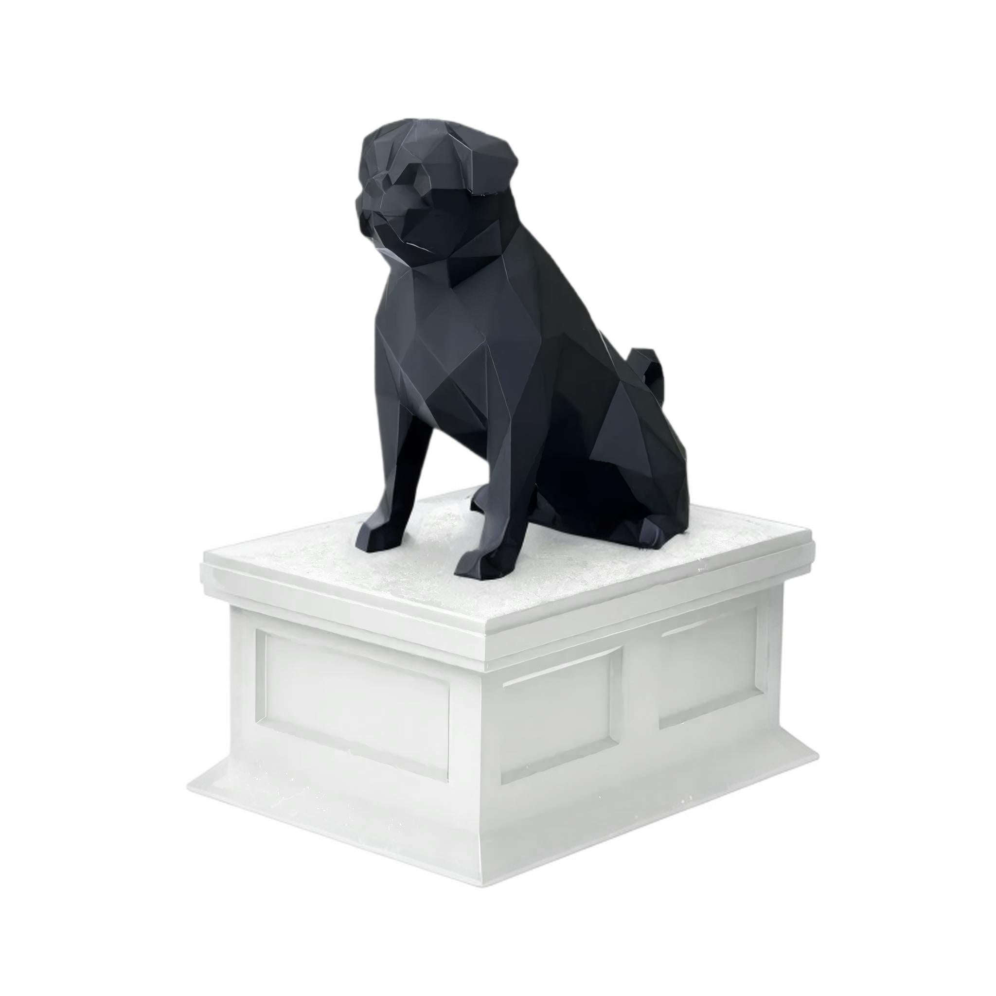 Pug