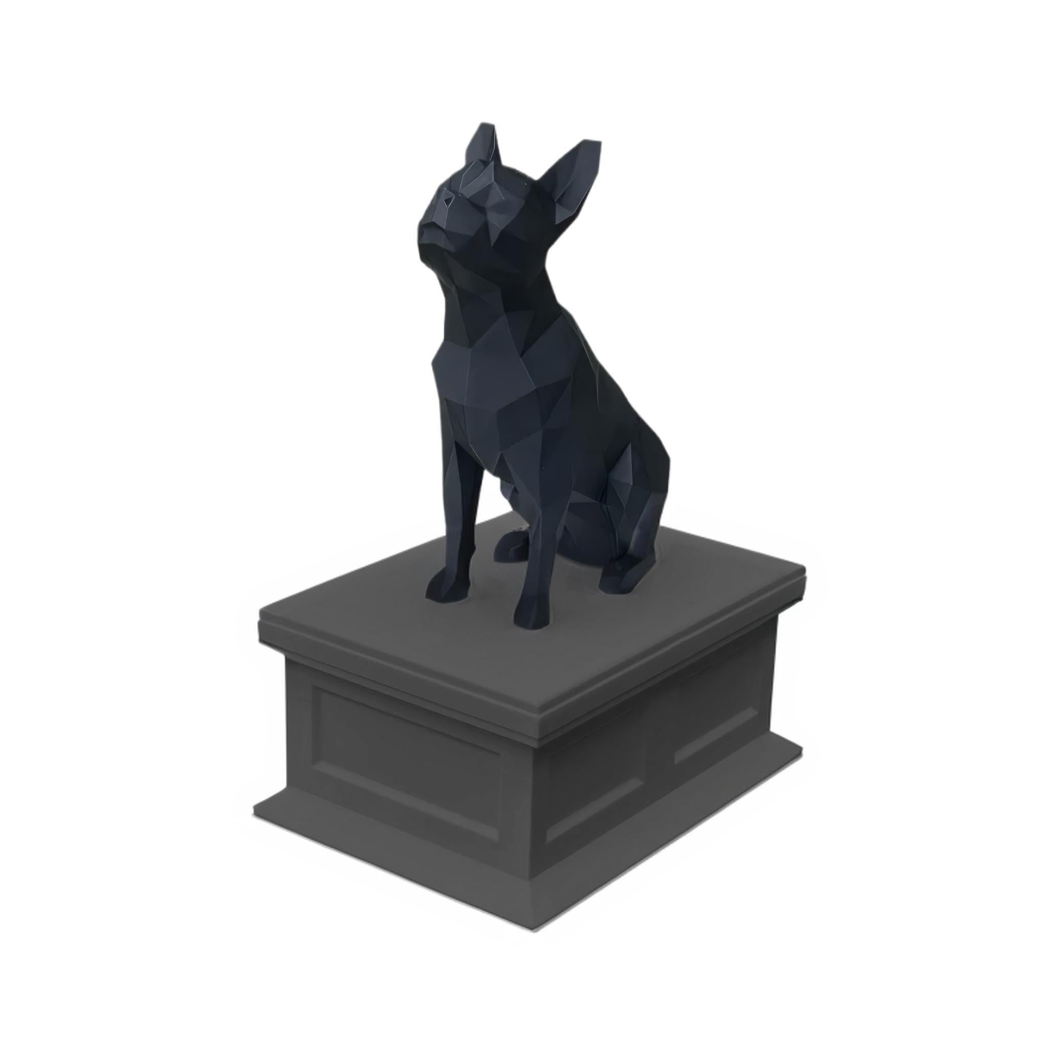 Boston Terrier