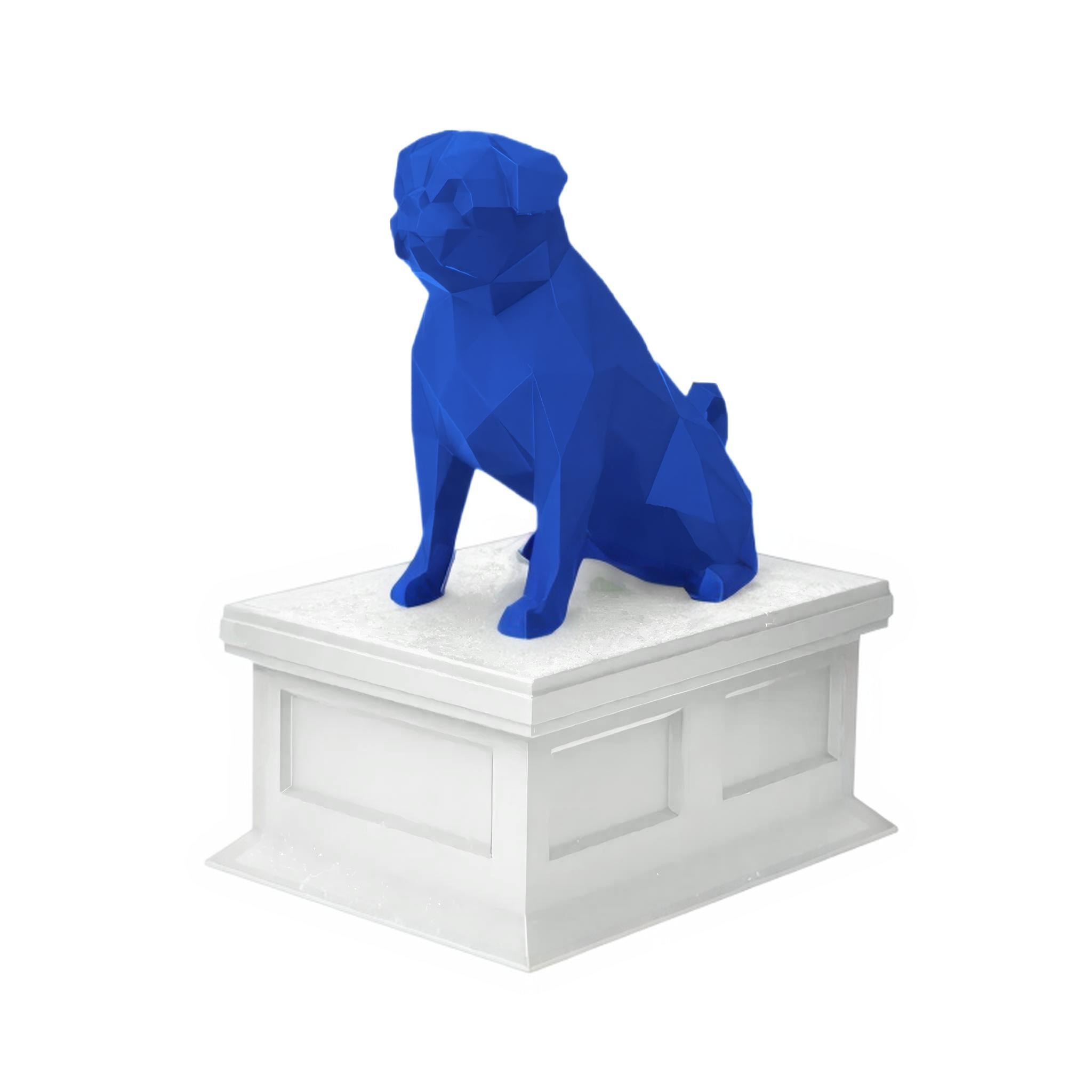 Pug