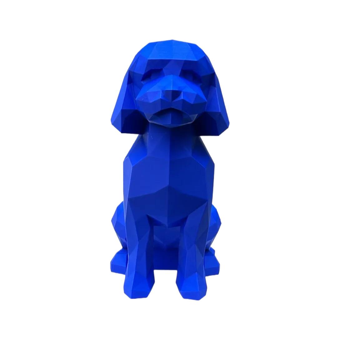 Mini-Golden Doodle