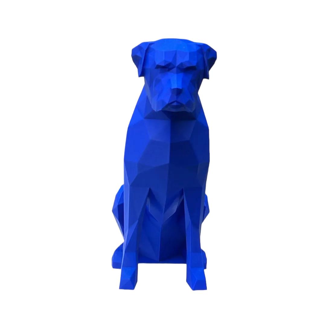 Boxer