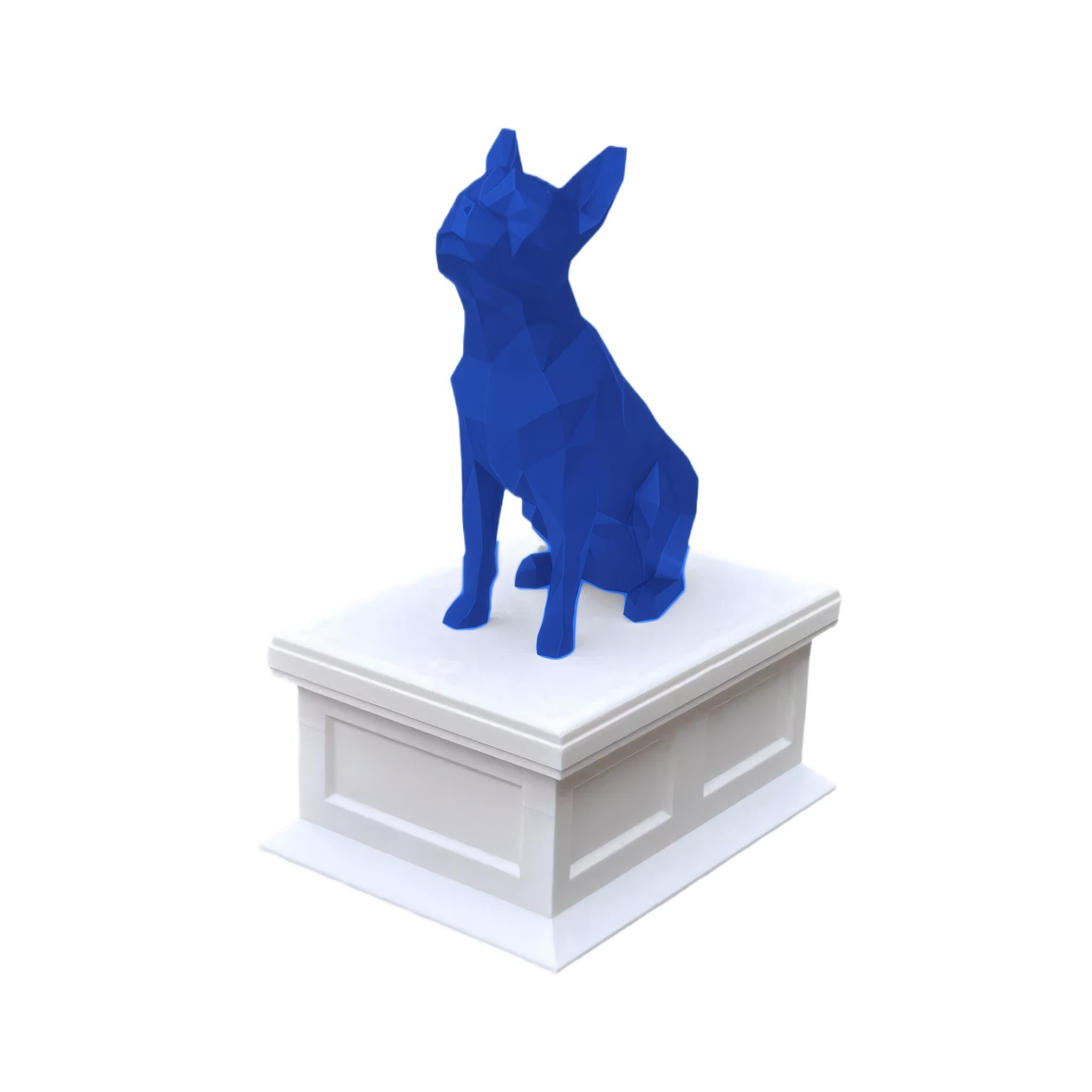 Boston Terrier