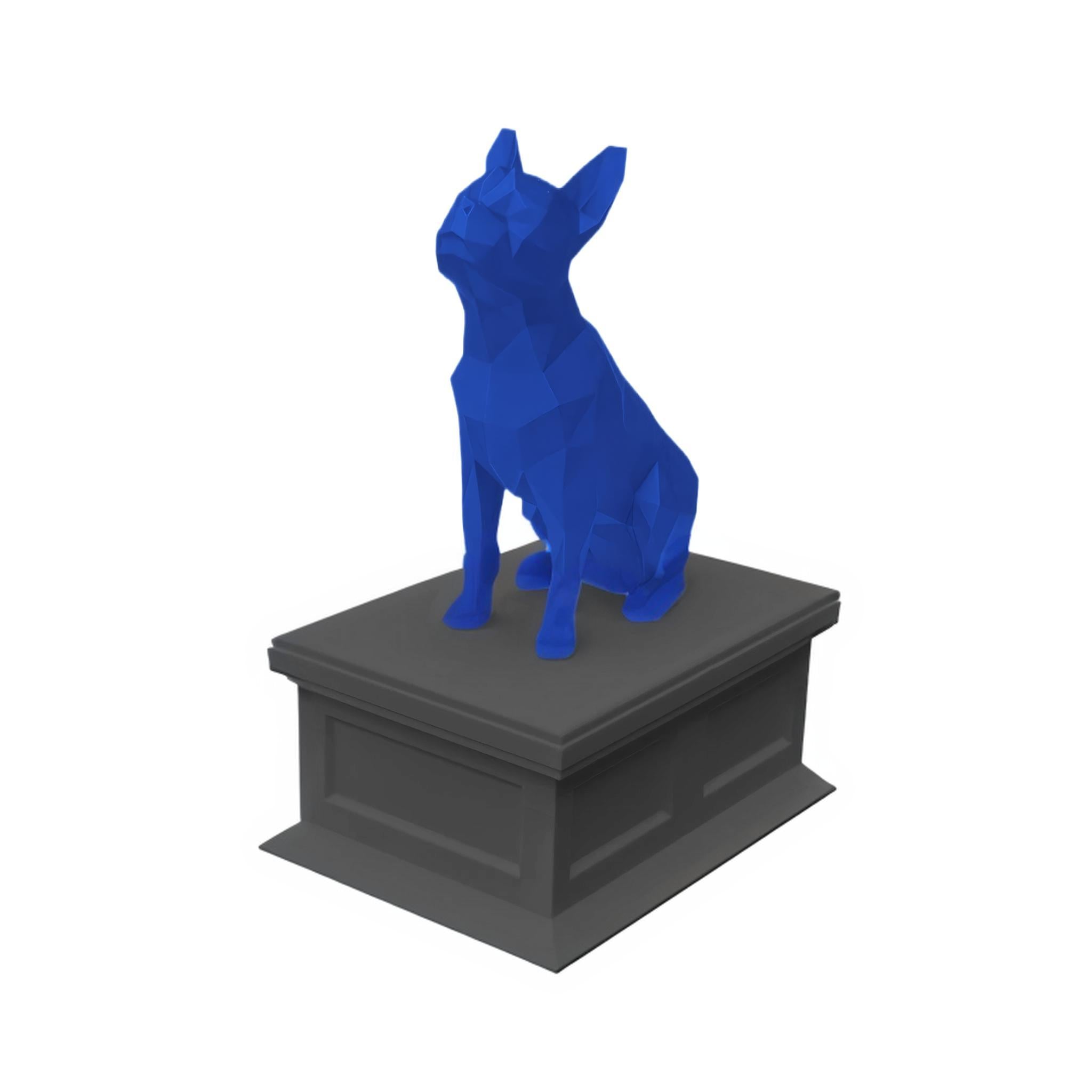 Boston Terrier