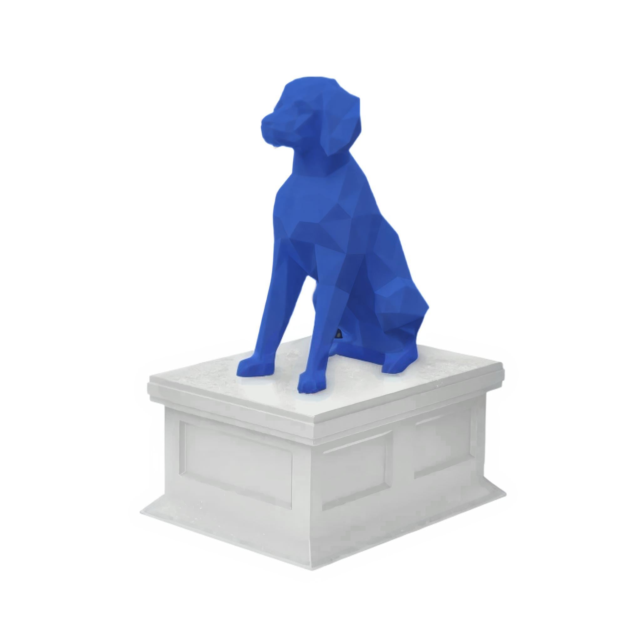 Brittany Spaniel