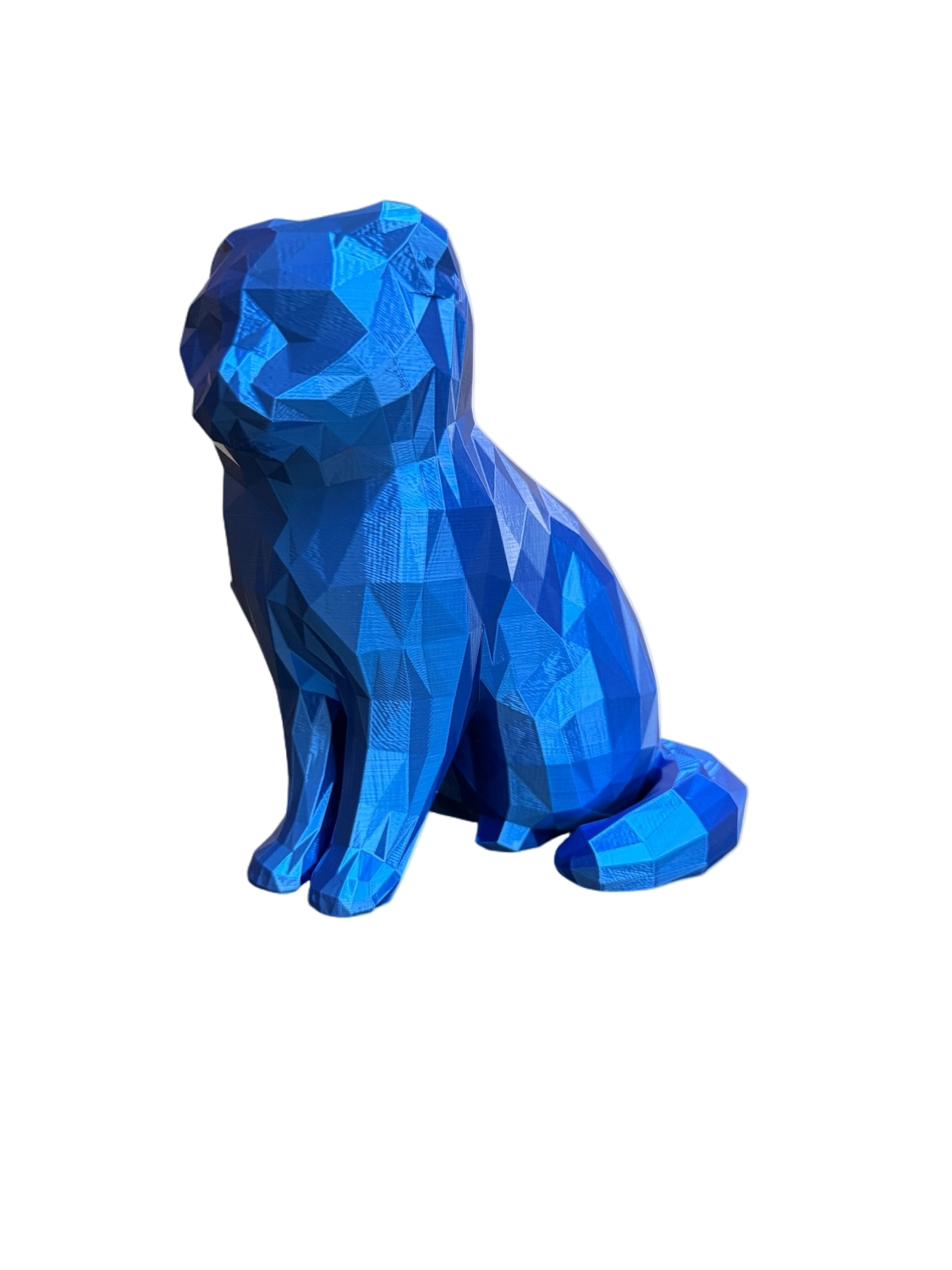blue Scottish Fold Cat Pet Capsule Urn