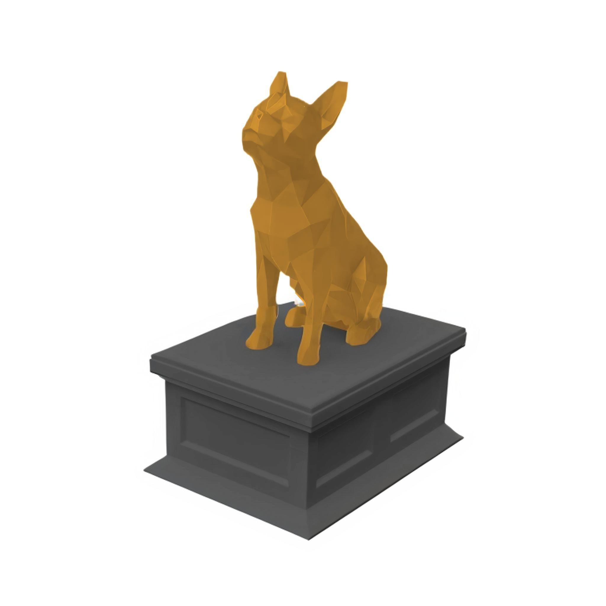Boston Terrier