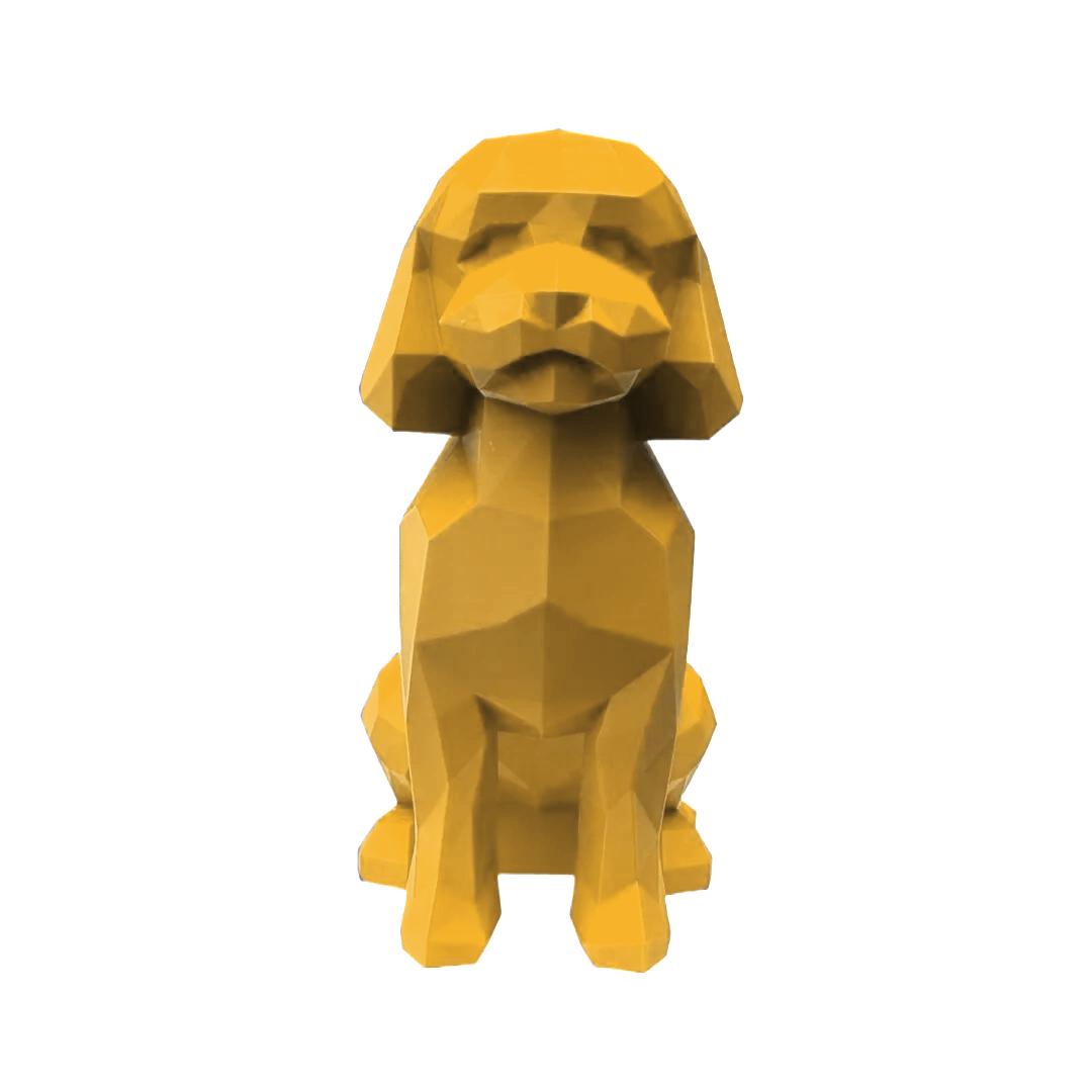Mini-Golden Doodle