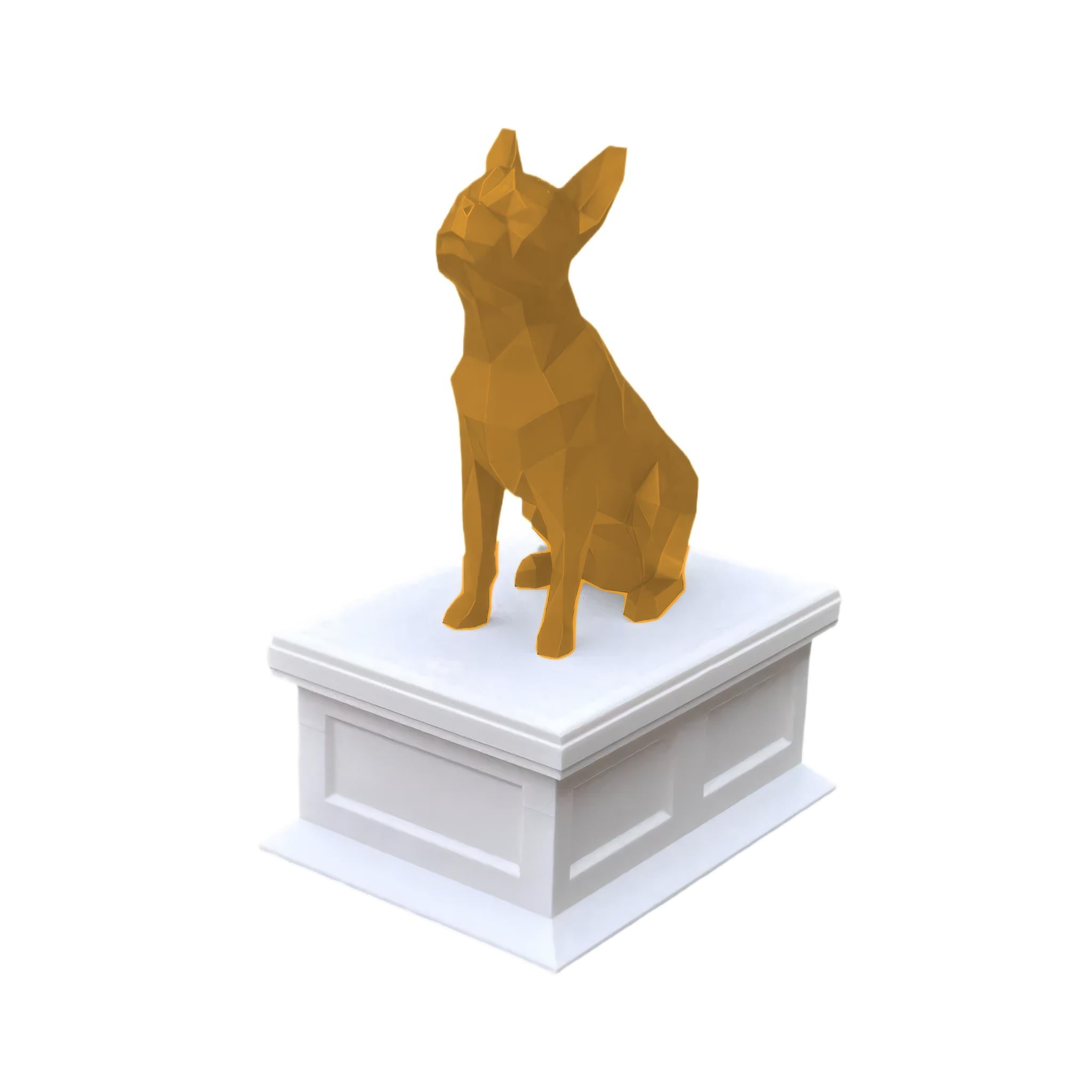 Boston Terrier
