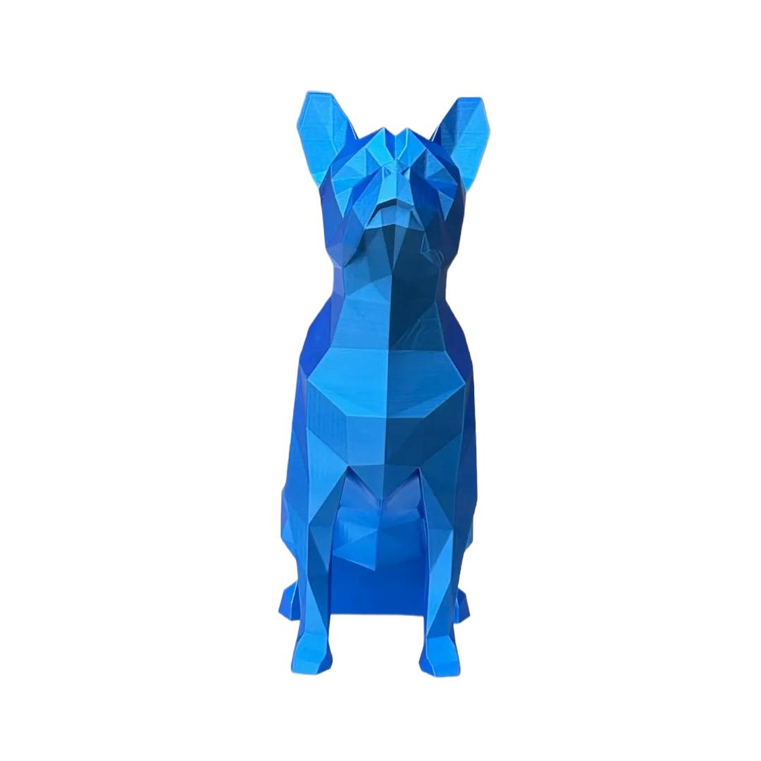 Boston Terrier