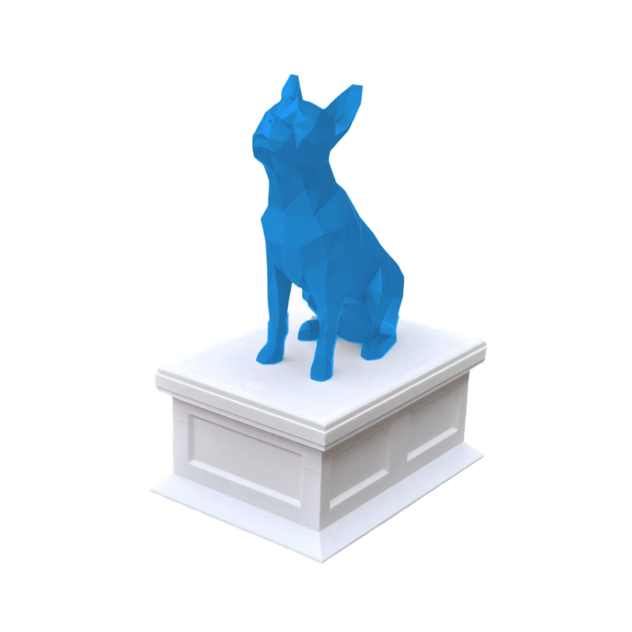 Boston Terrier