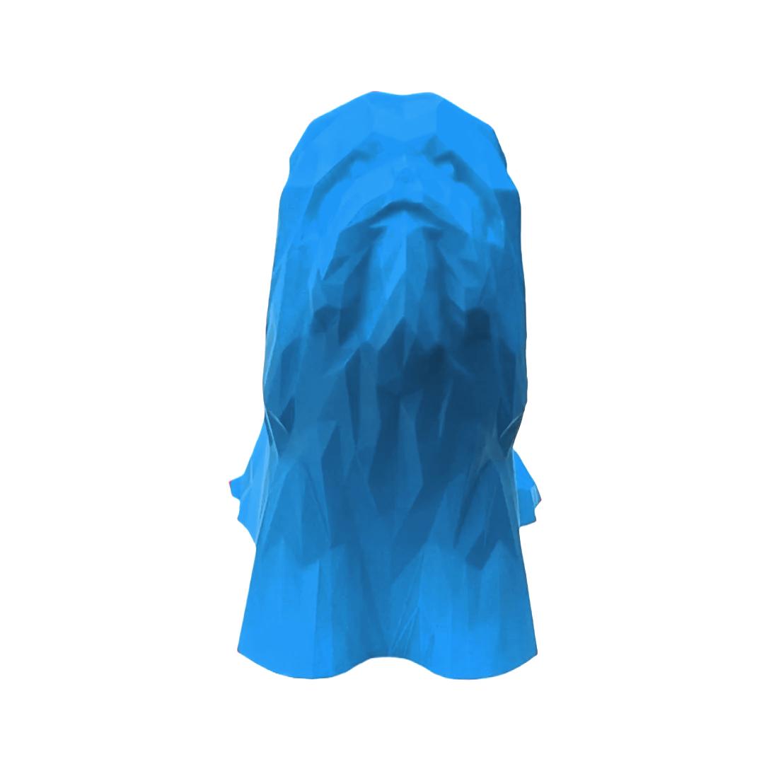 Lhasa Apso