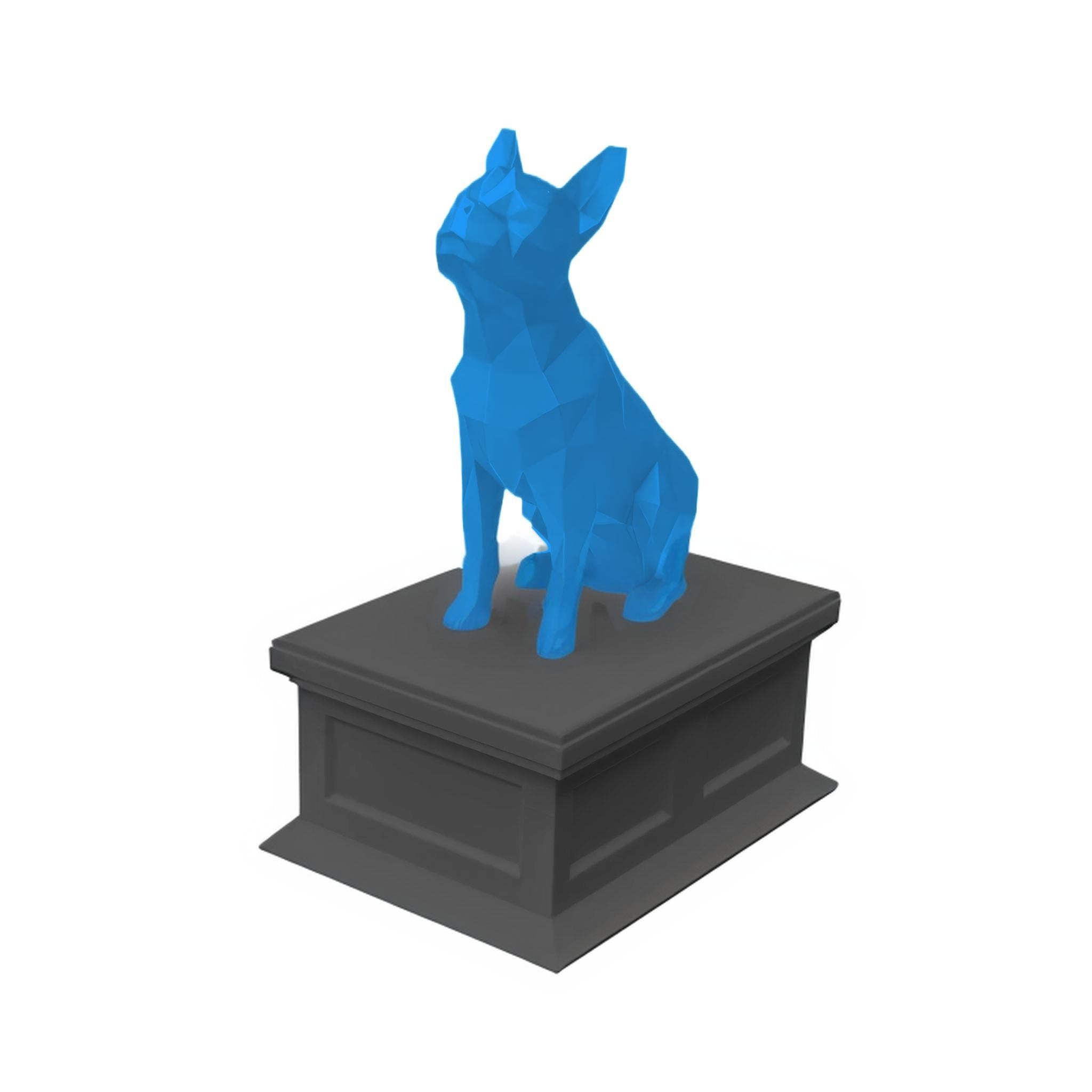 Boston Terrier