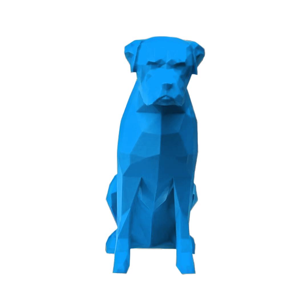Boxer