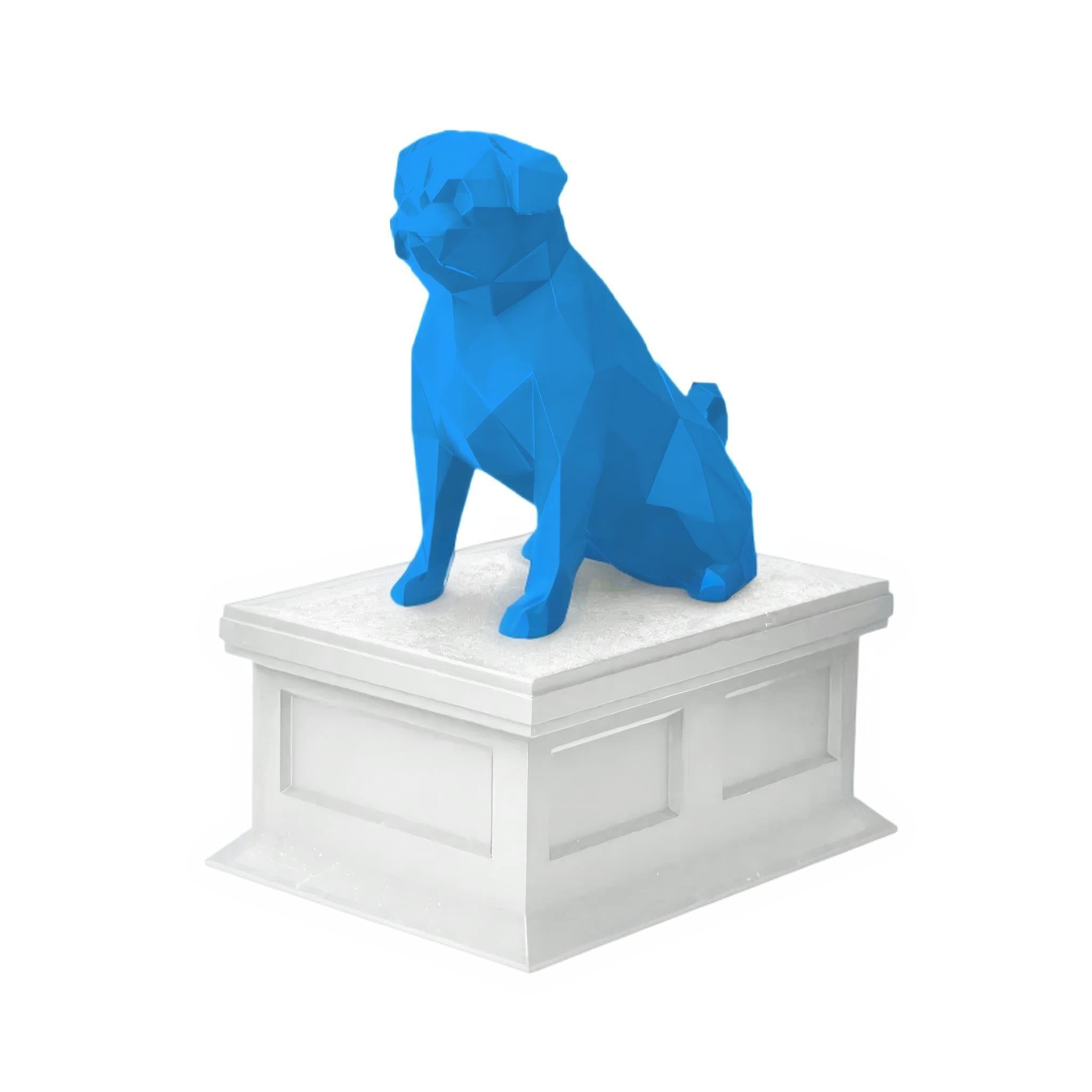 Pug