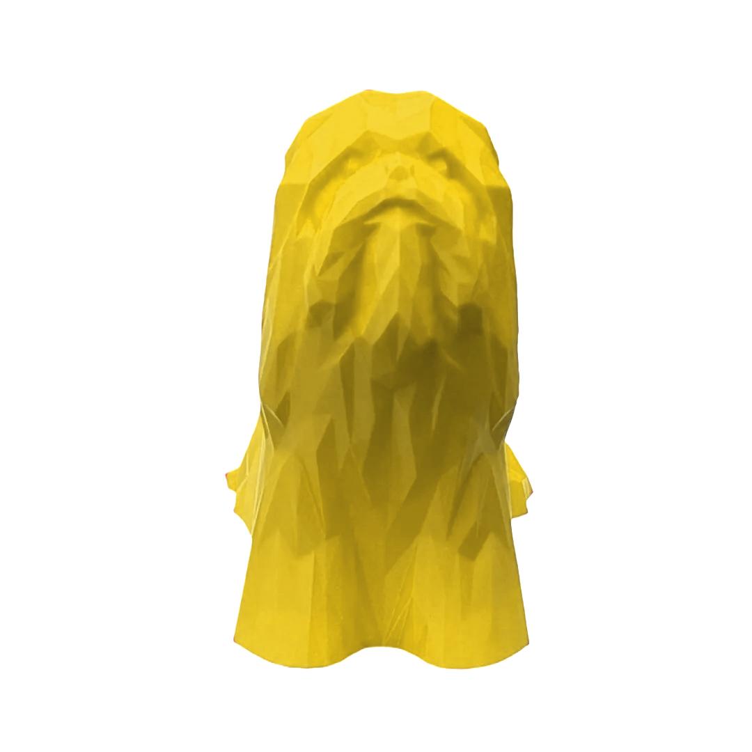 Lhasa Apso