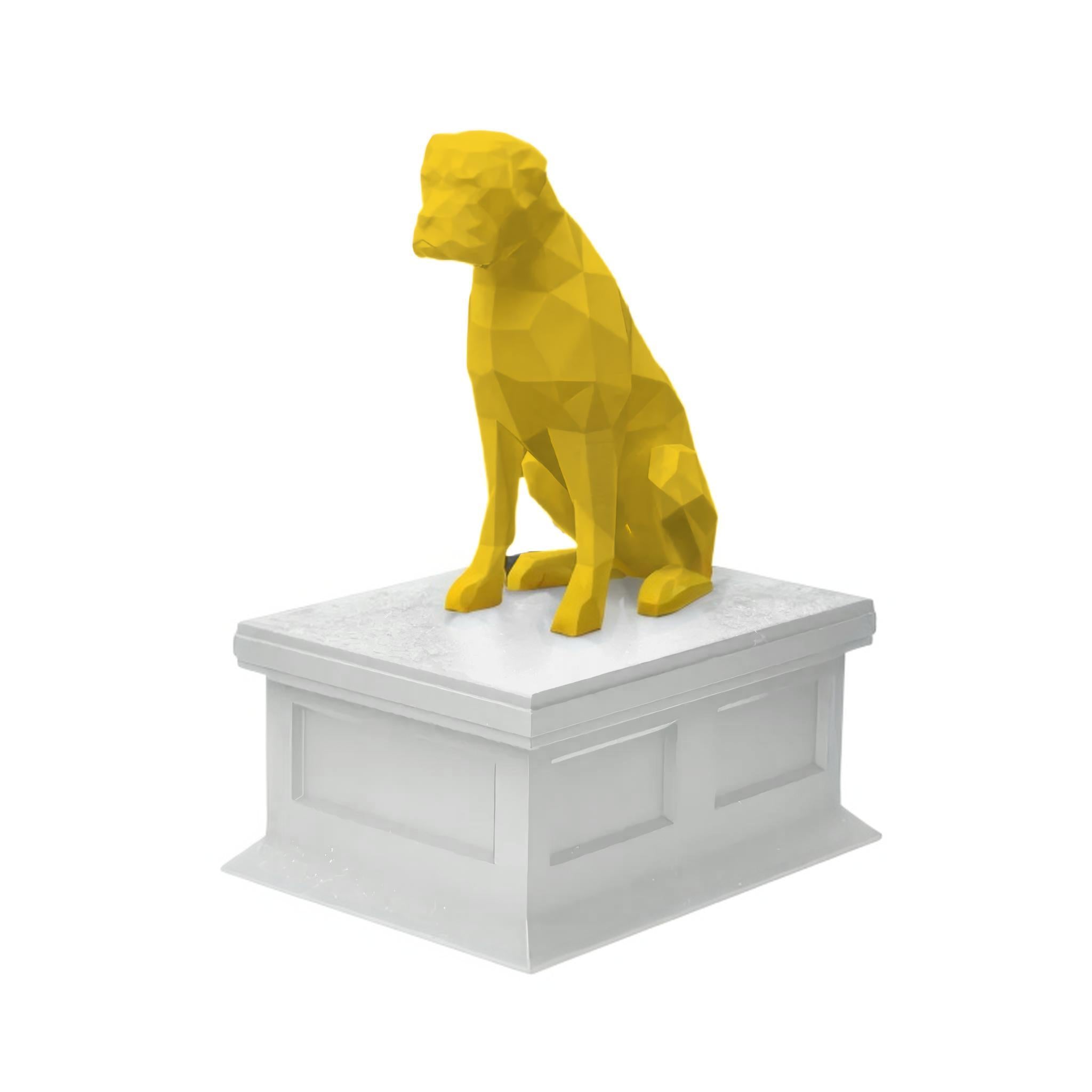 Boxer
