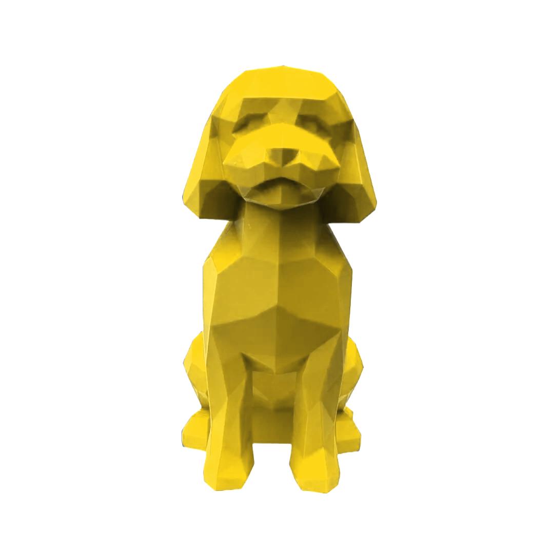 Mini-Golden Doodle