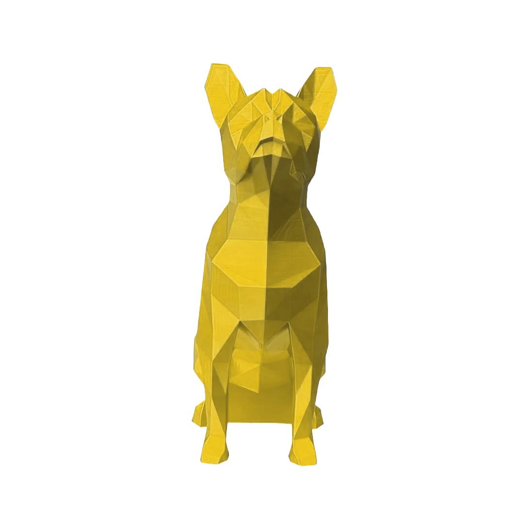 Boston Terrier