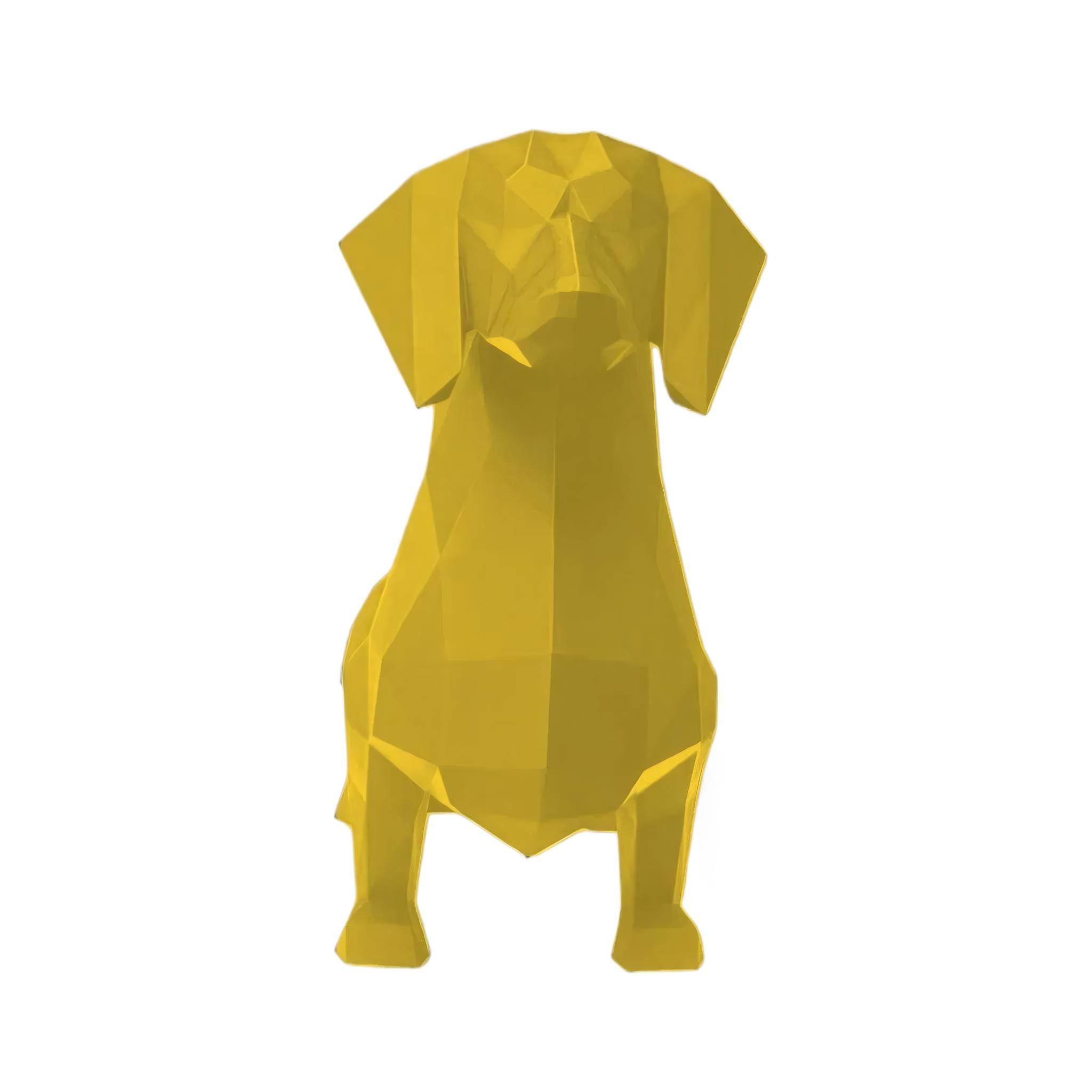 Dachshund