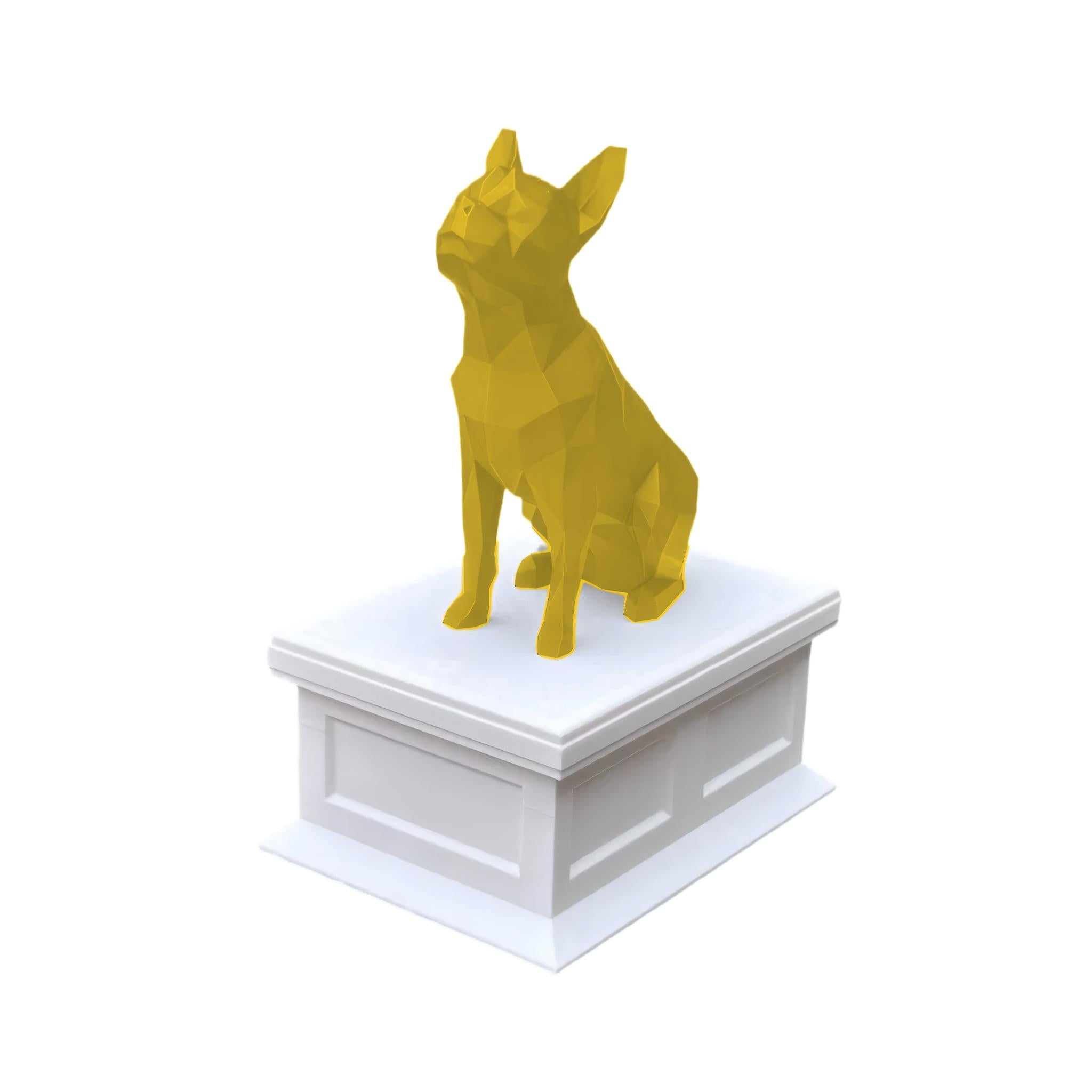 Boston Terrier