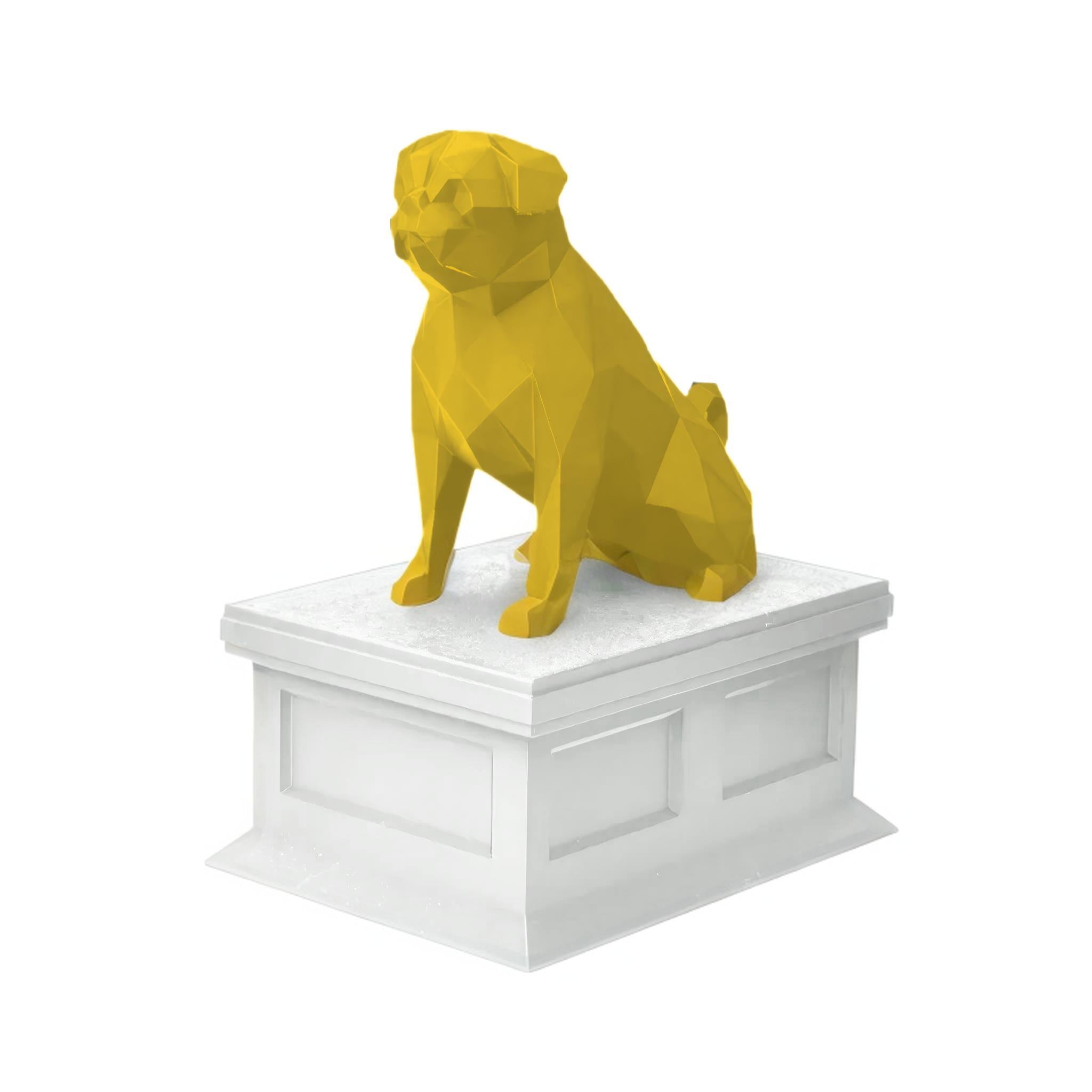 Pug