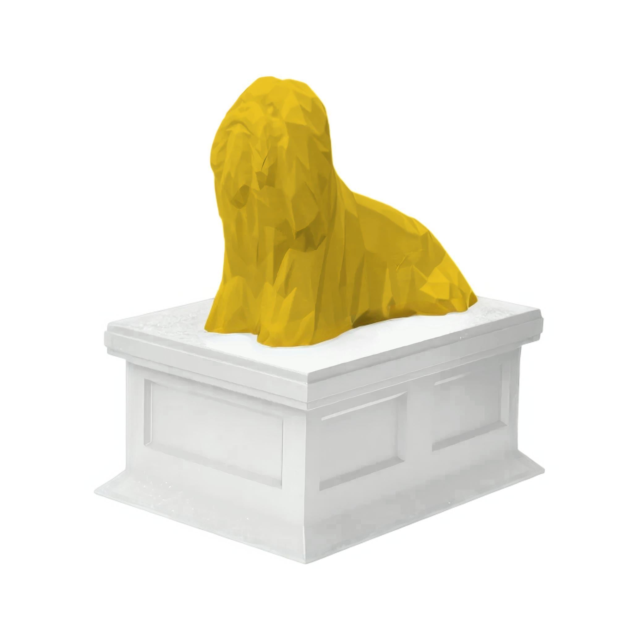 Lhasa Apso