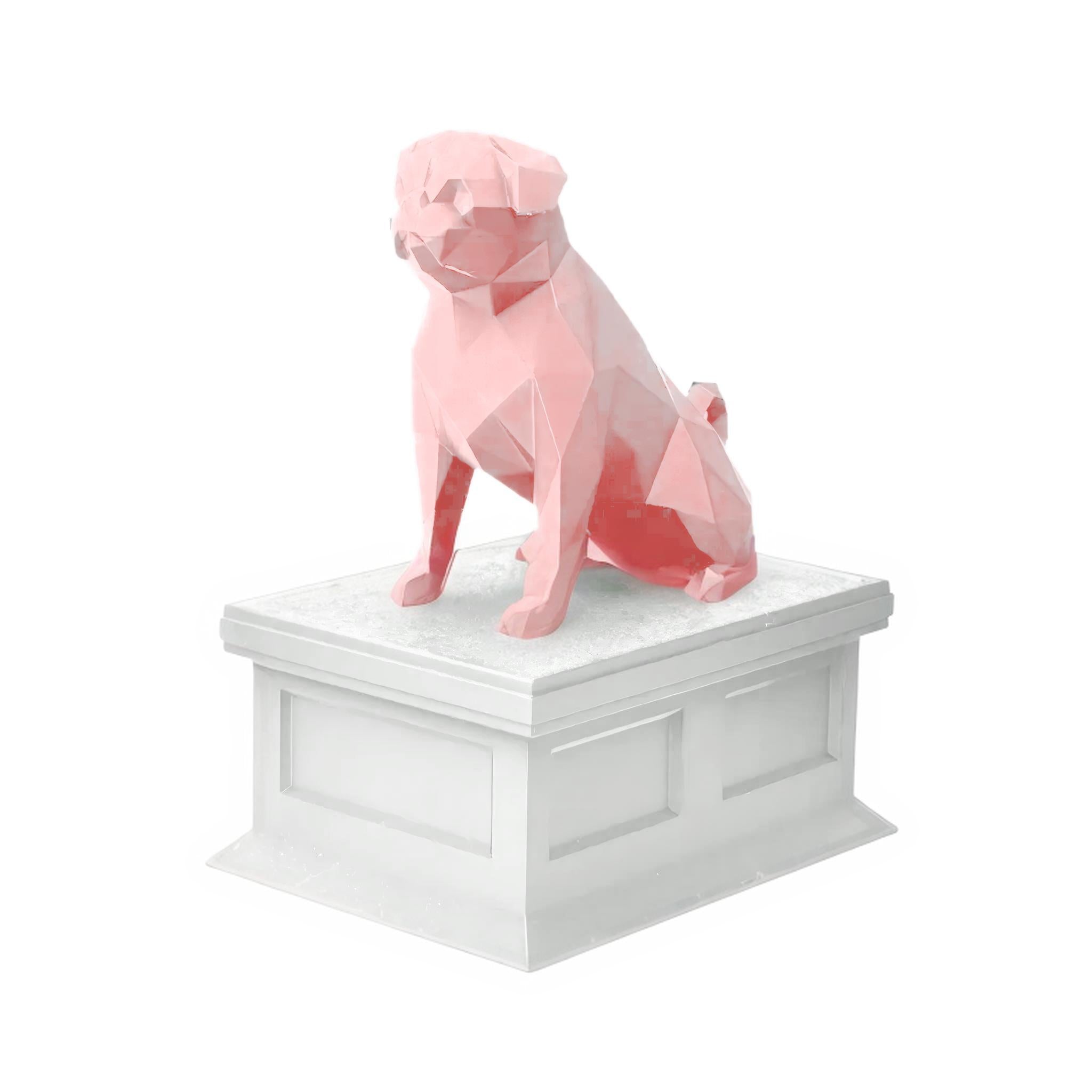 Pug