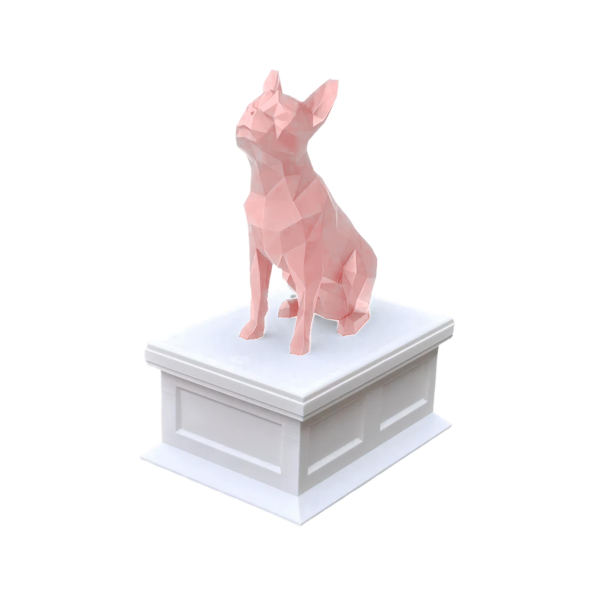Boston Terrier