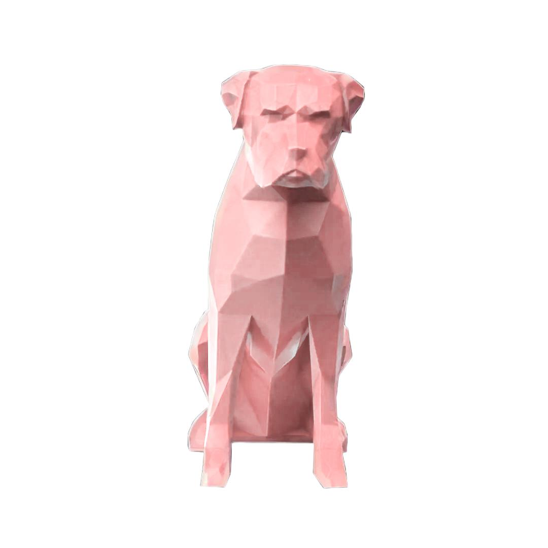 Boxer
