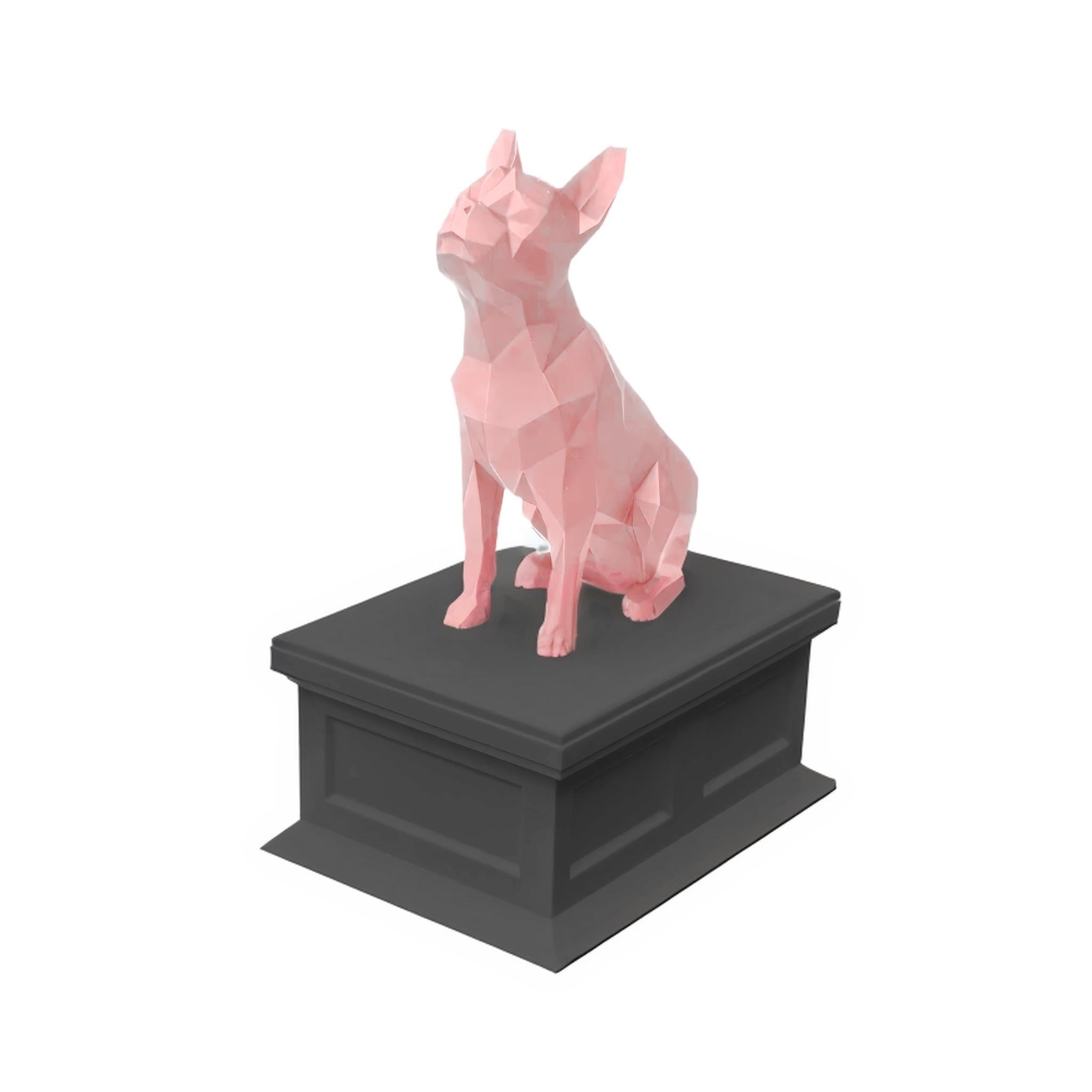 Boston Terrier