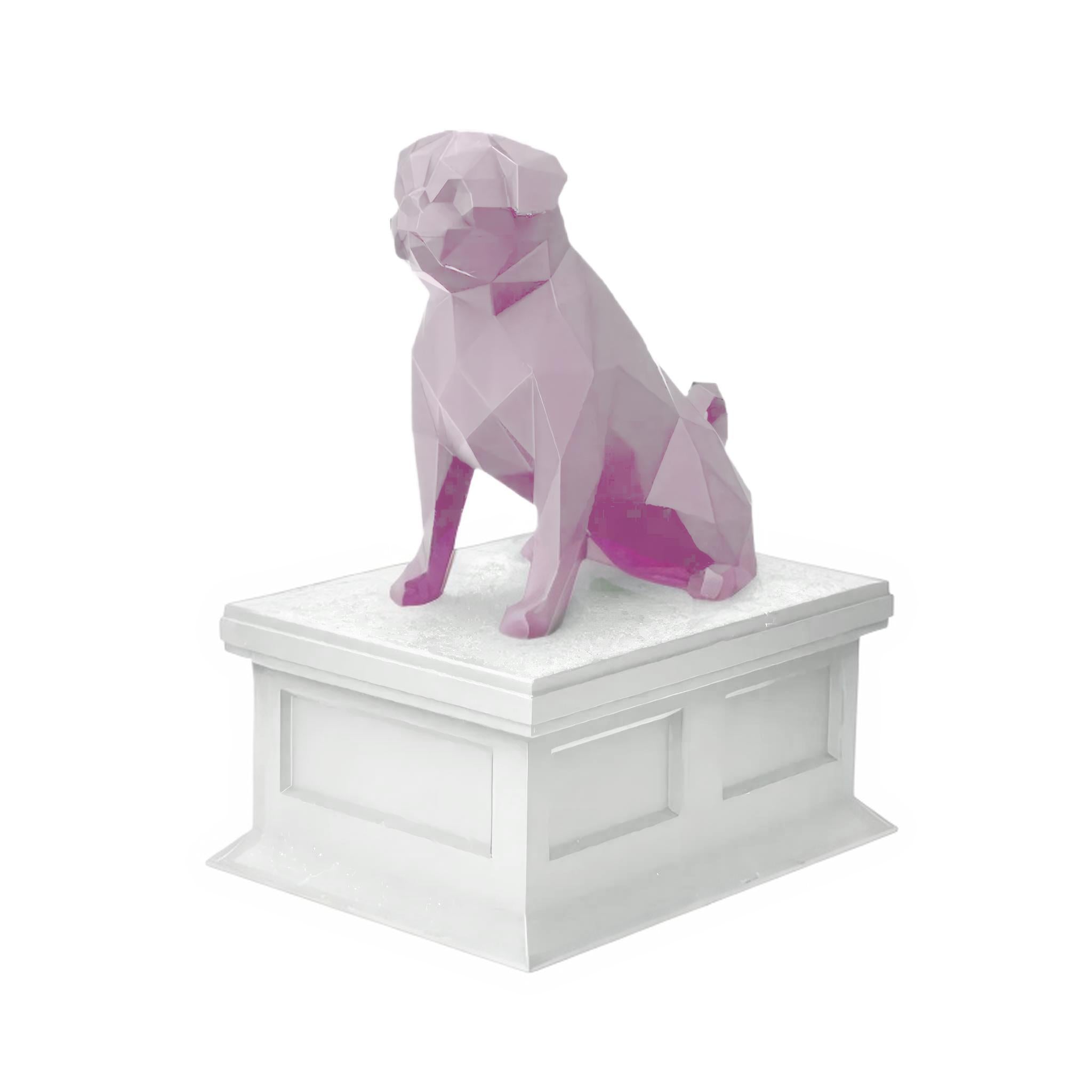 Pug