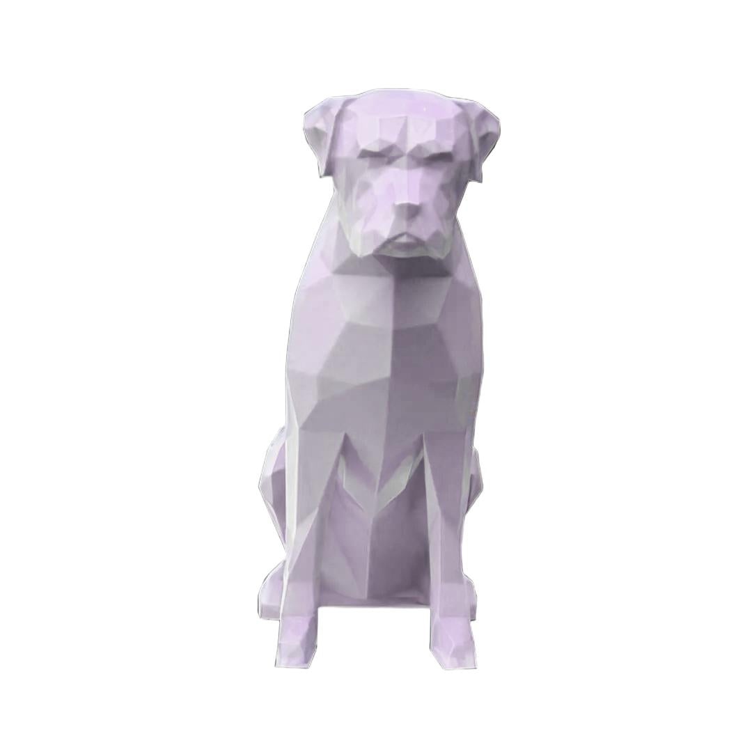 Boxer
