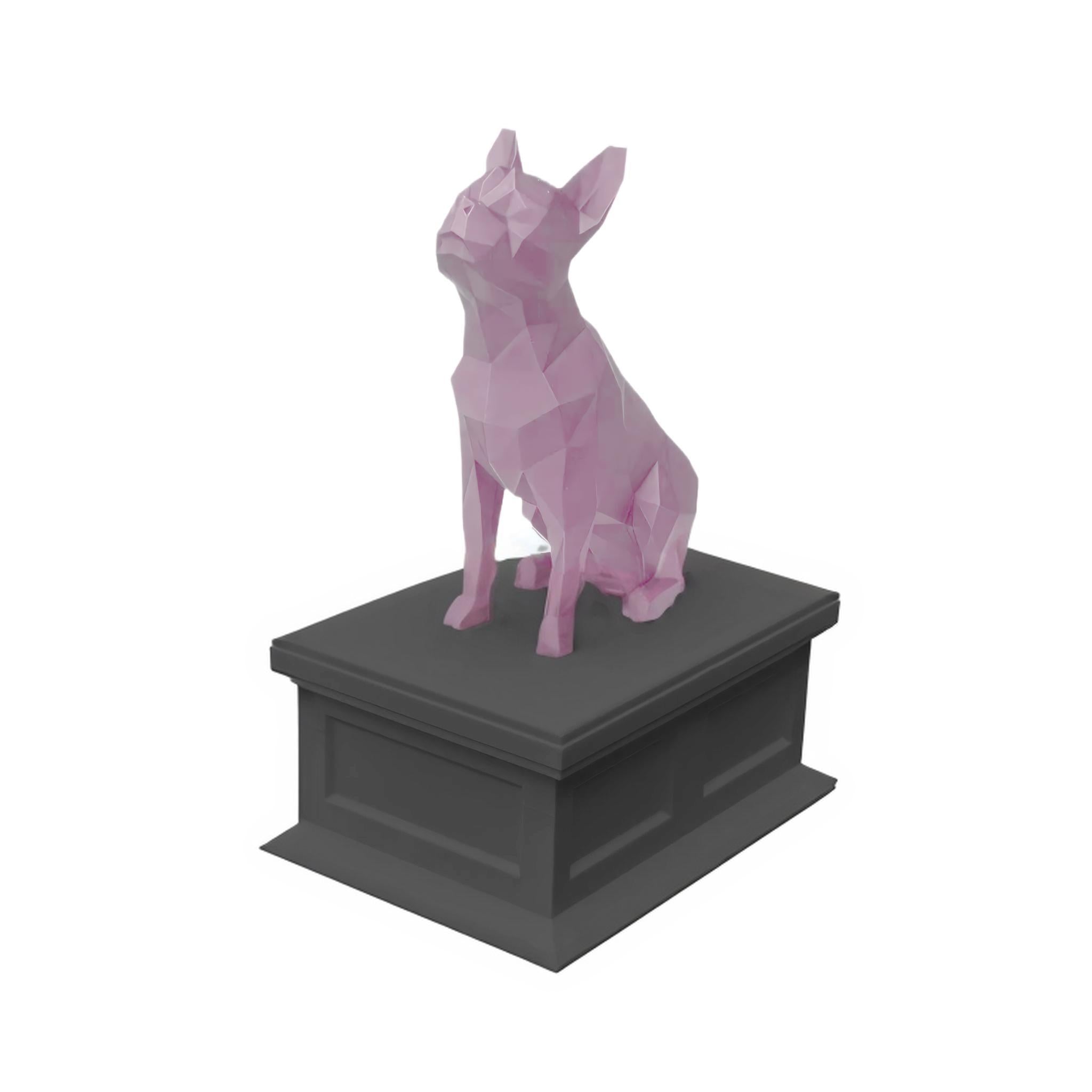 Boston Terrier