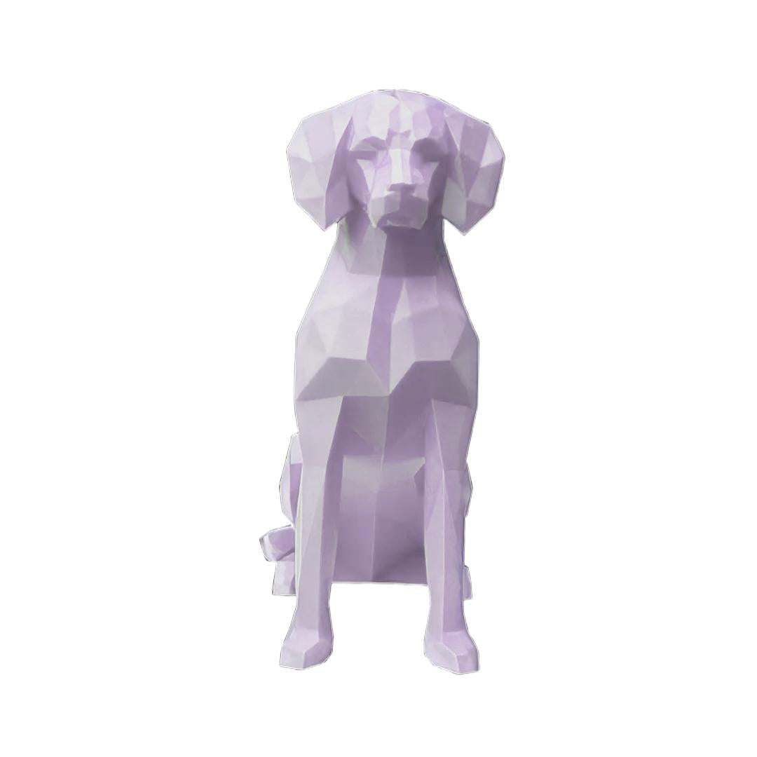 Brittany Spaniel