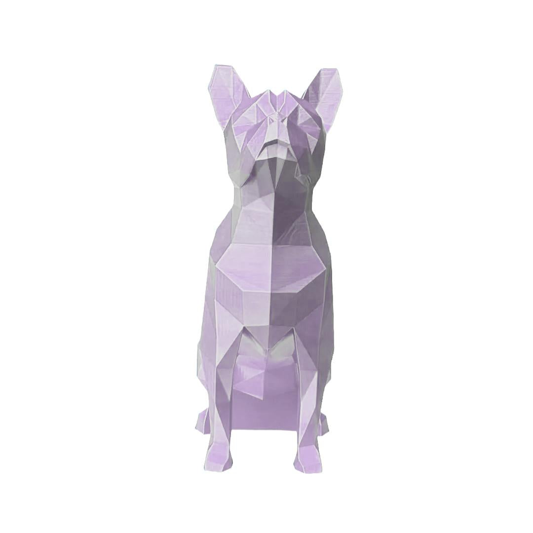 Boston Terrier