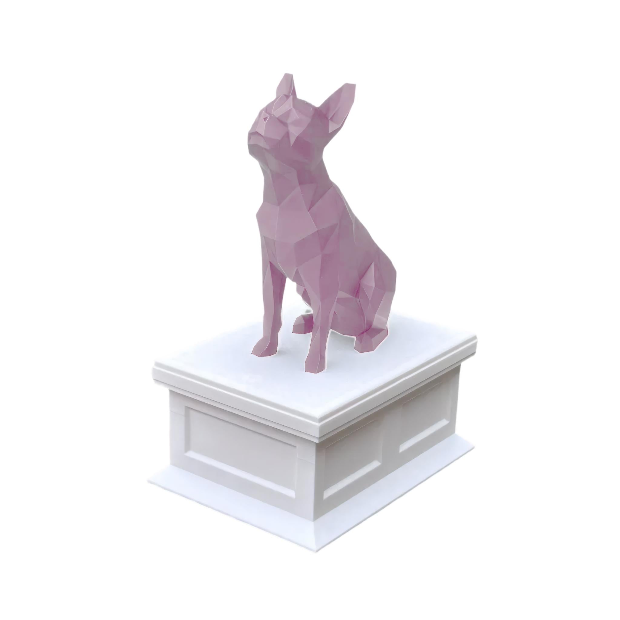 Boston Terrier