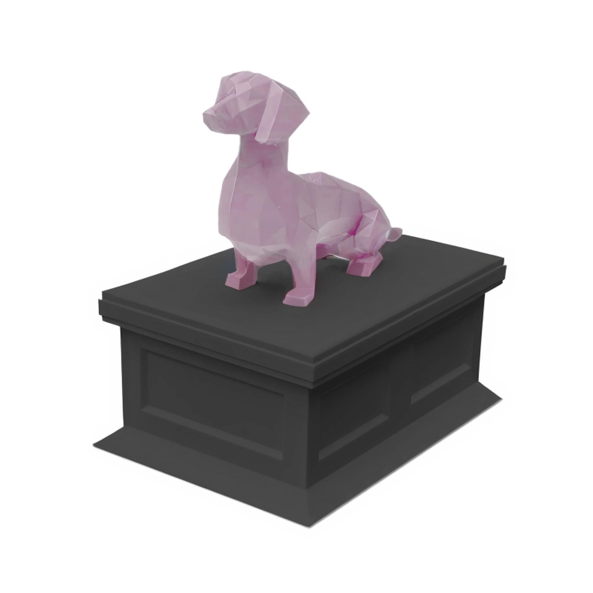 Dachshund