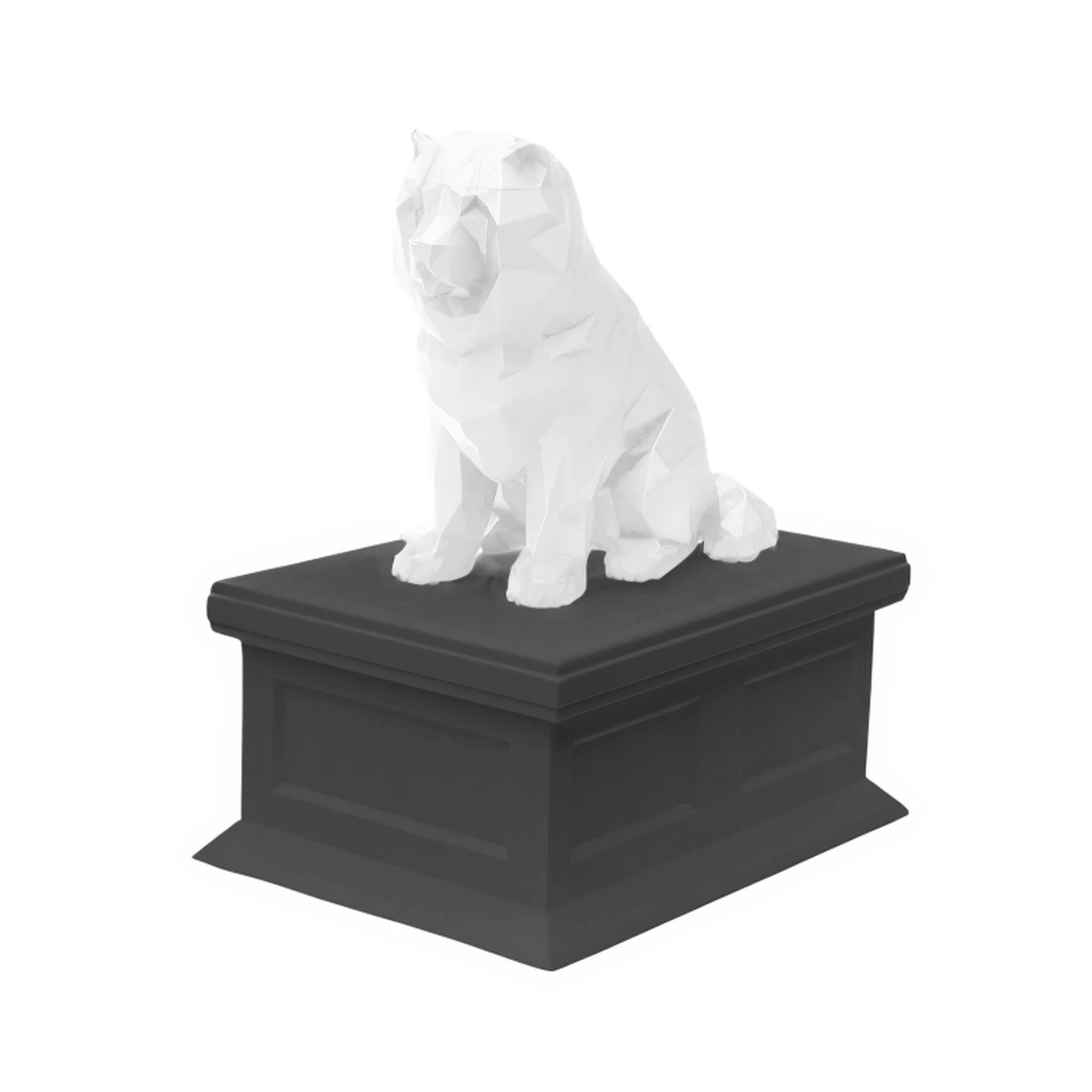 Chow Chow