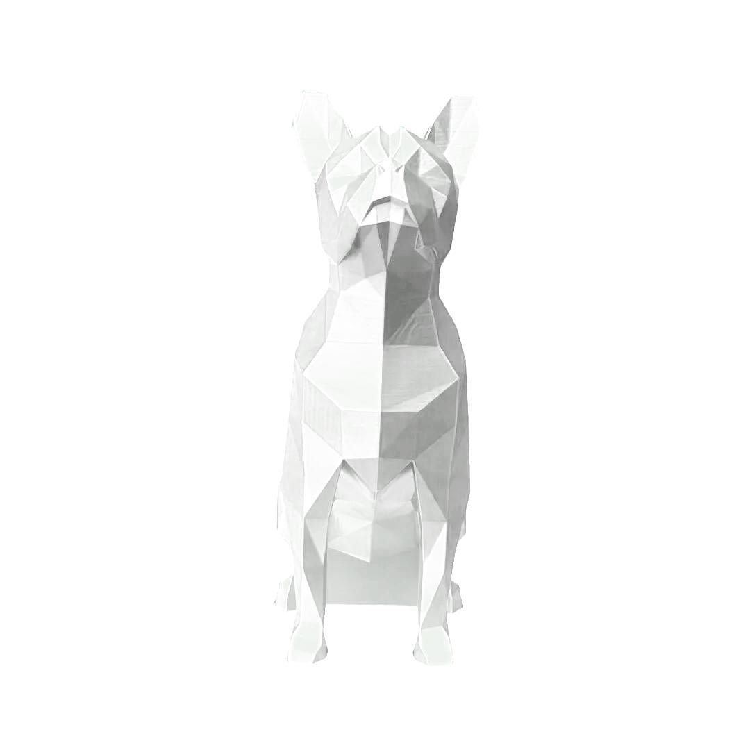 Boston Terrier