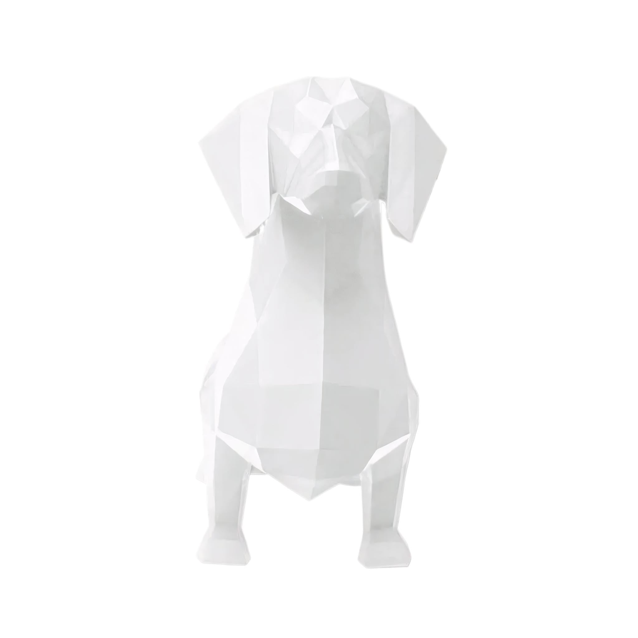 Dachshund