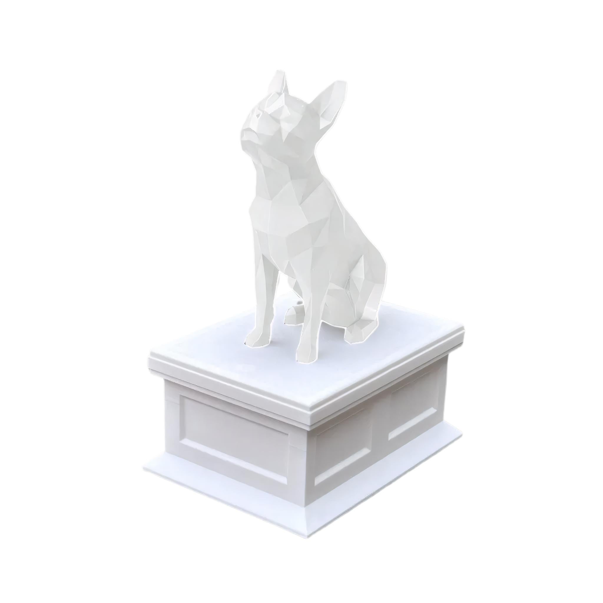 Boston Terrier