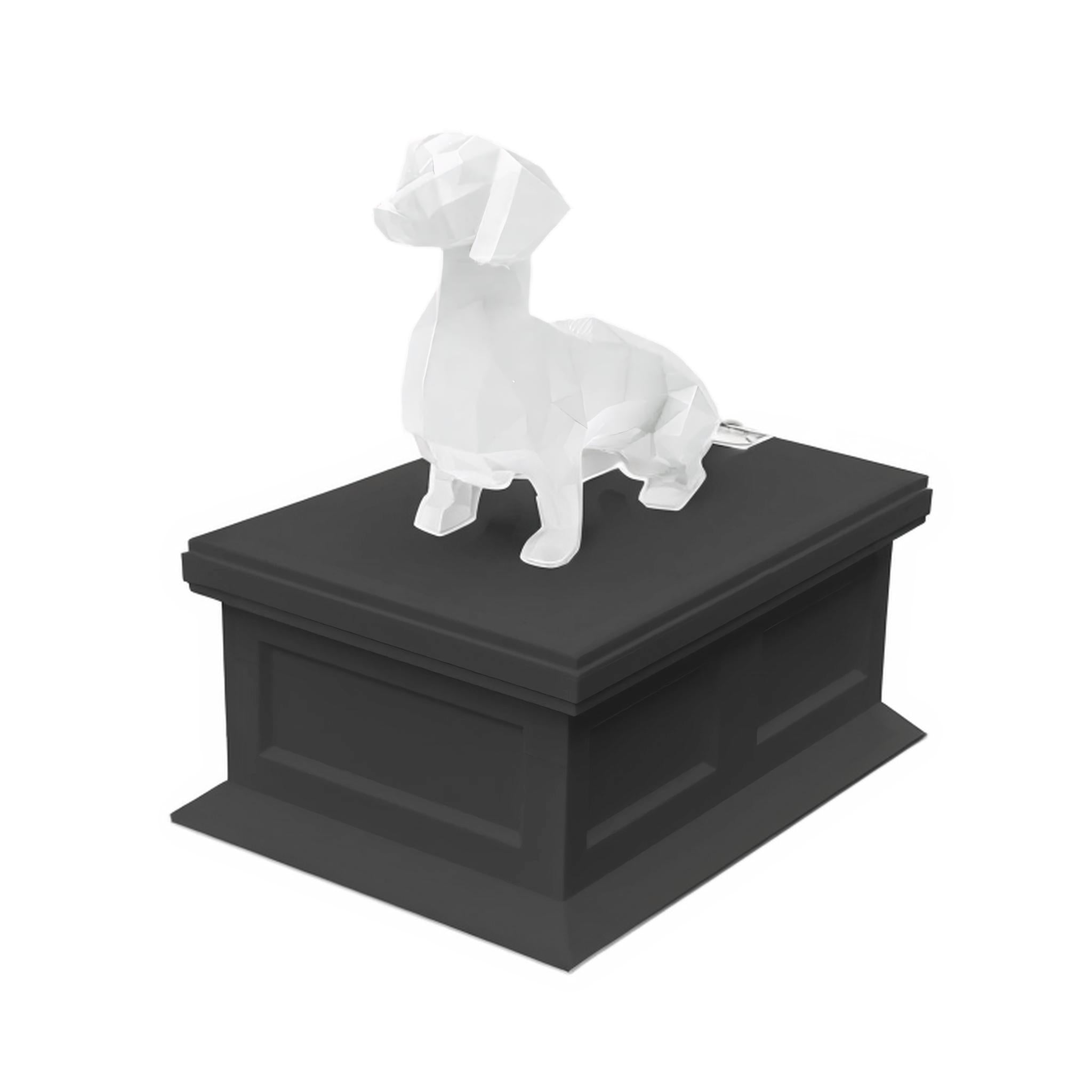Dachshund