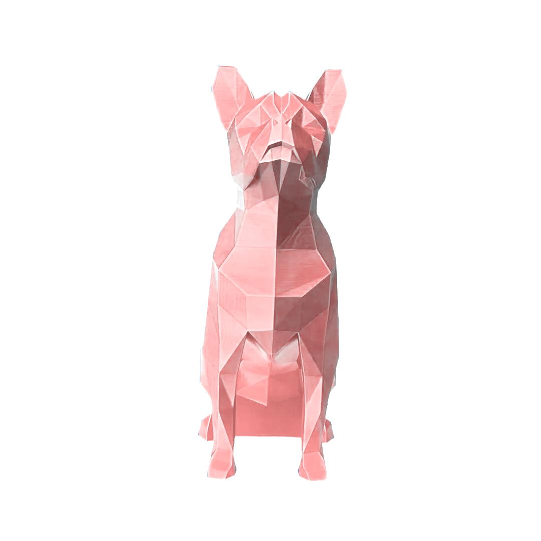 Boston Terrier